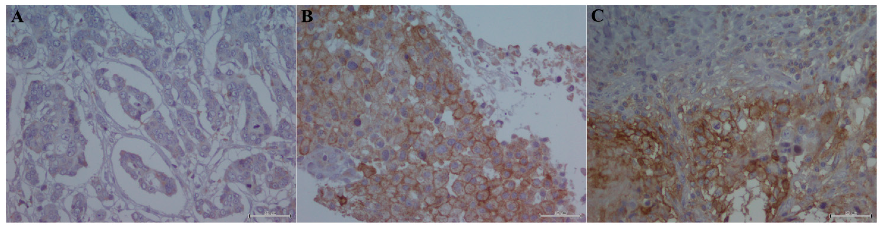 Ijms 18 00459 g001 550