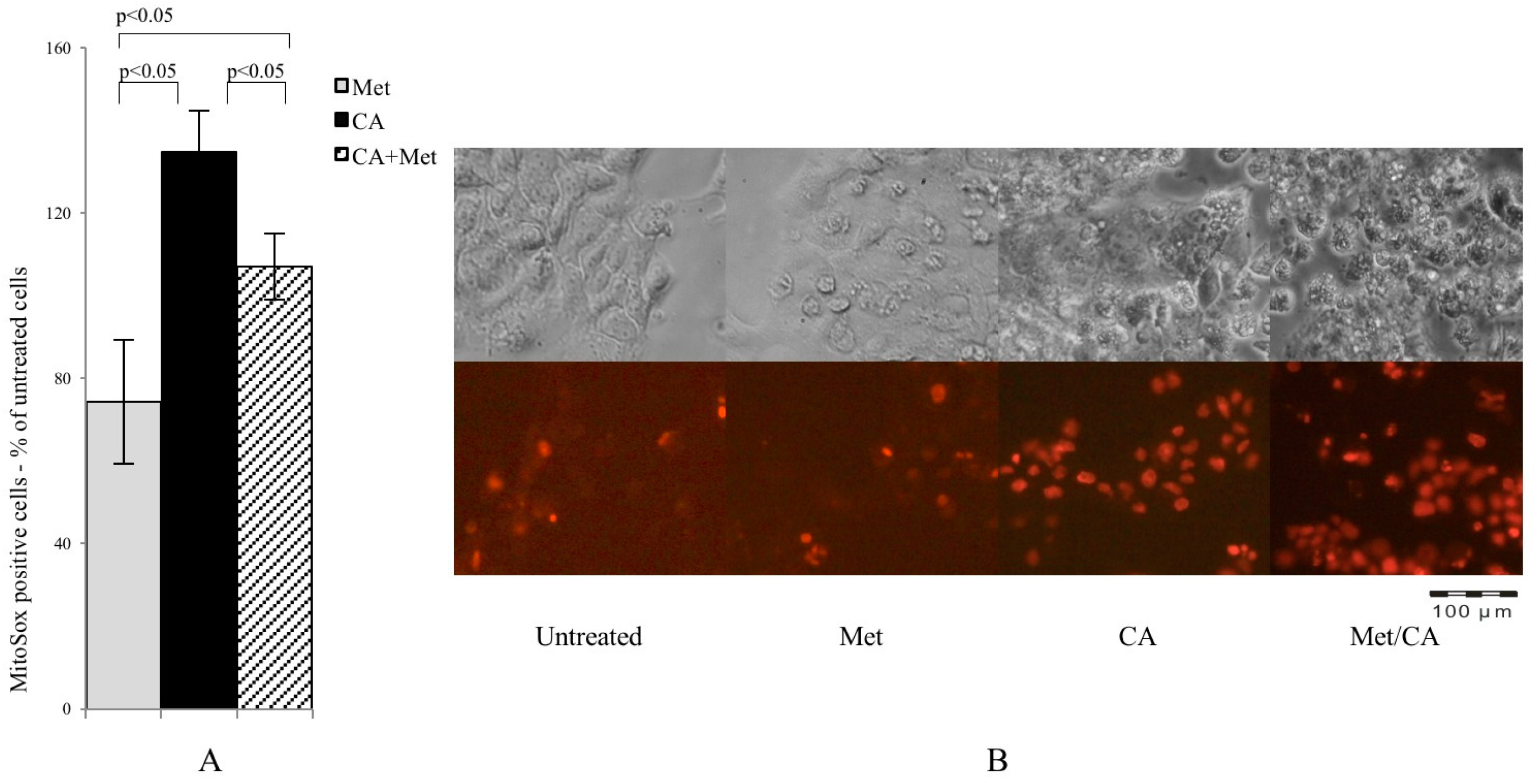 Ijms 18 00462 g003