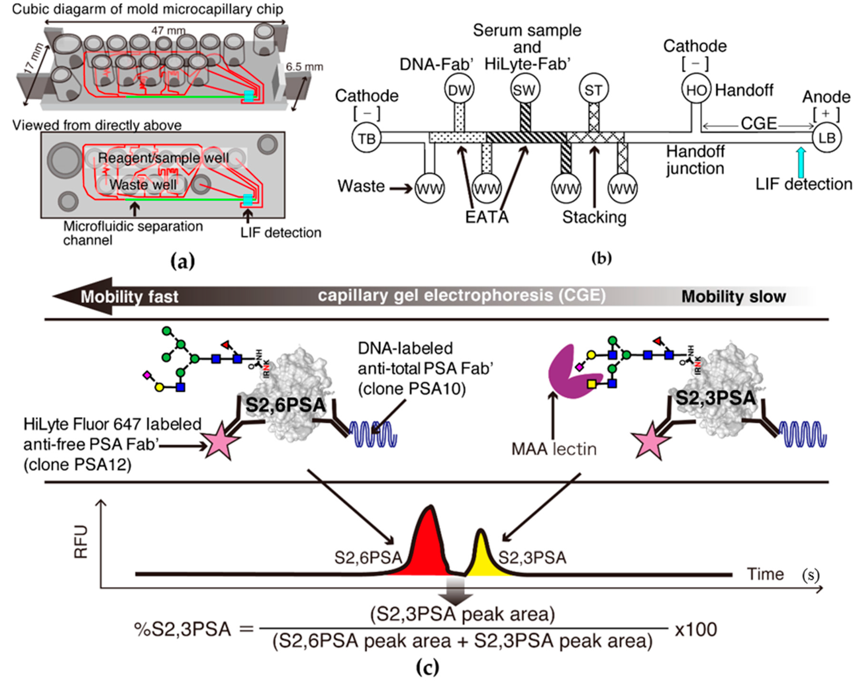 Ijms 18 00470 g003 550
