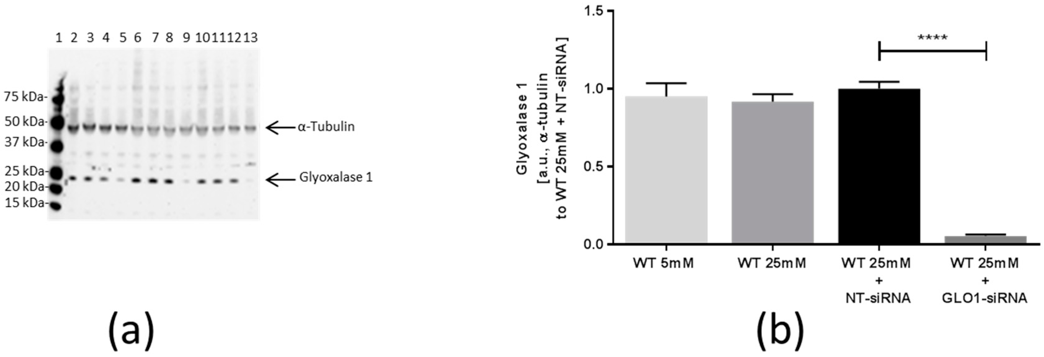 Ijms 18 00480 g001 550