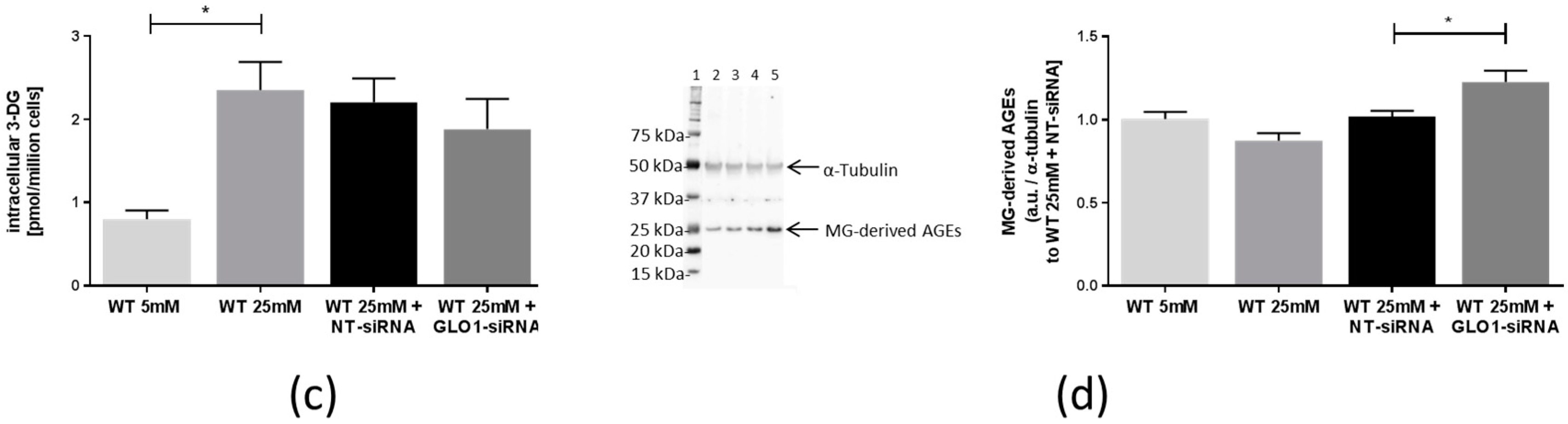 Ijms 18 00480 g002b 550