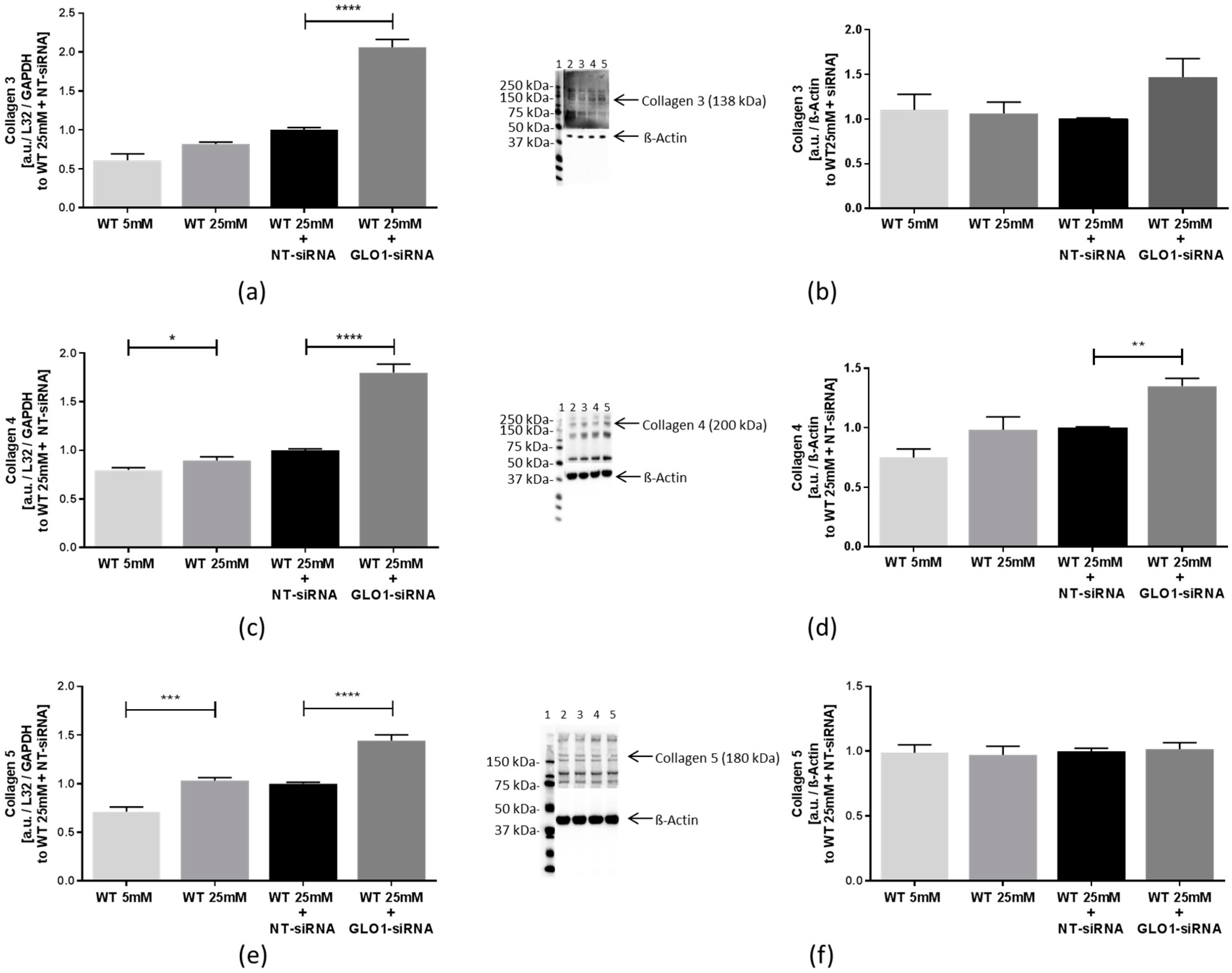 Ijms 18 00480 g004 550