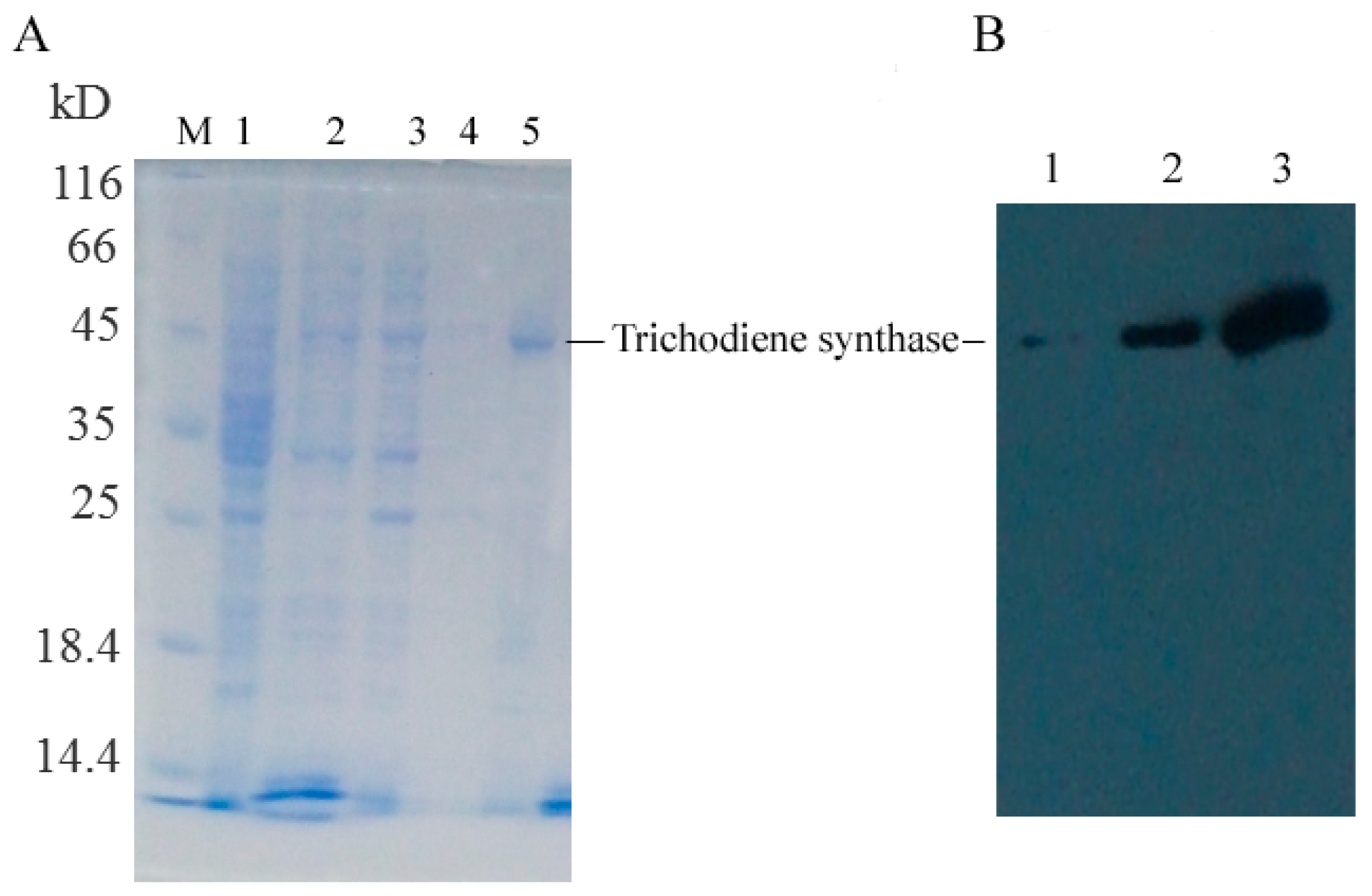 Ijms 18 00497 g005 550