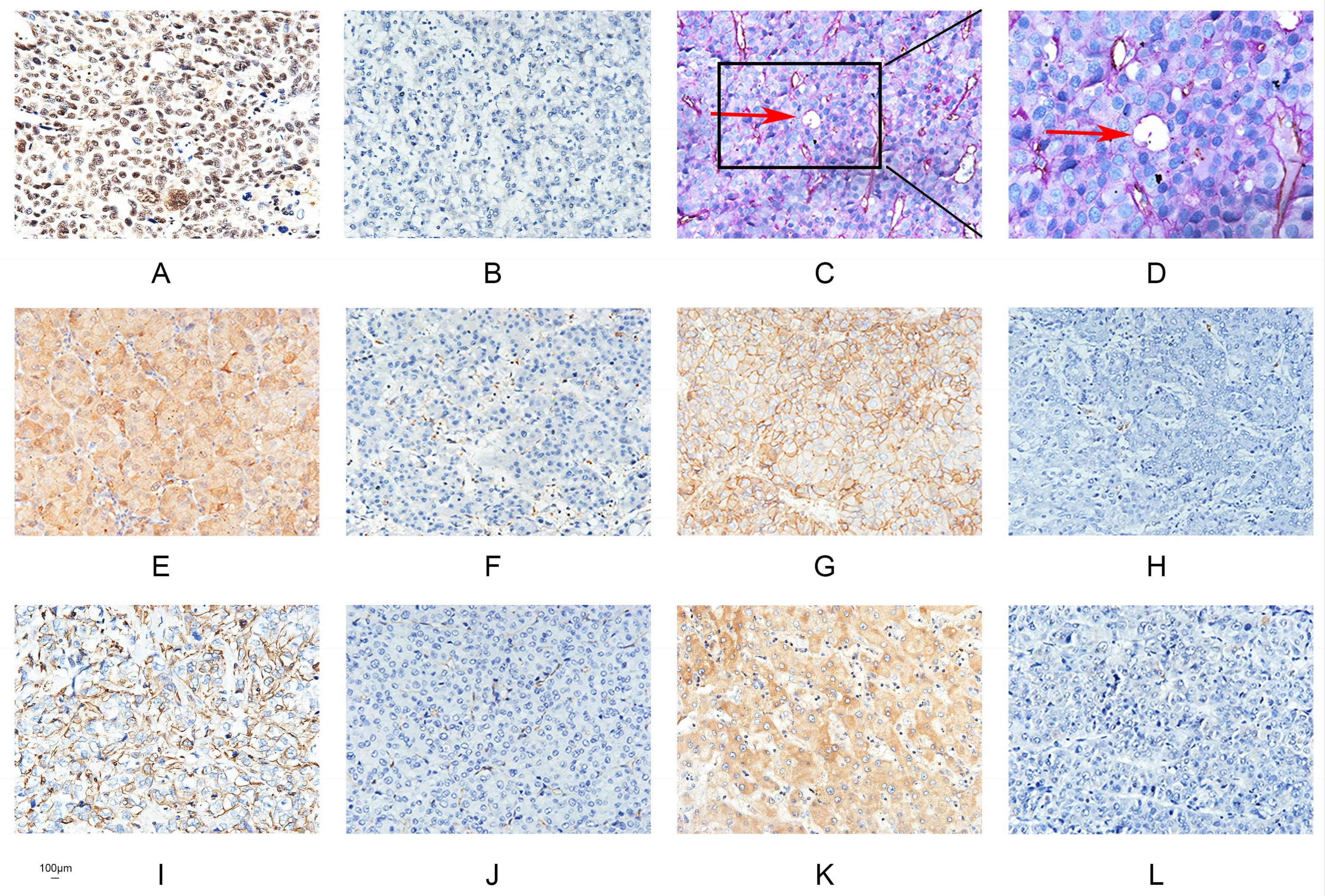 Ijms 18 00500 g001 550