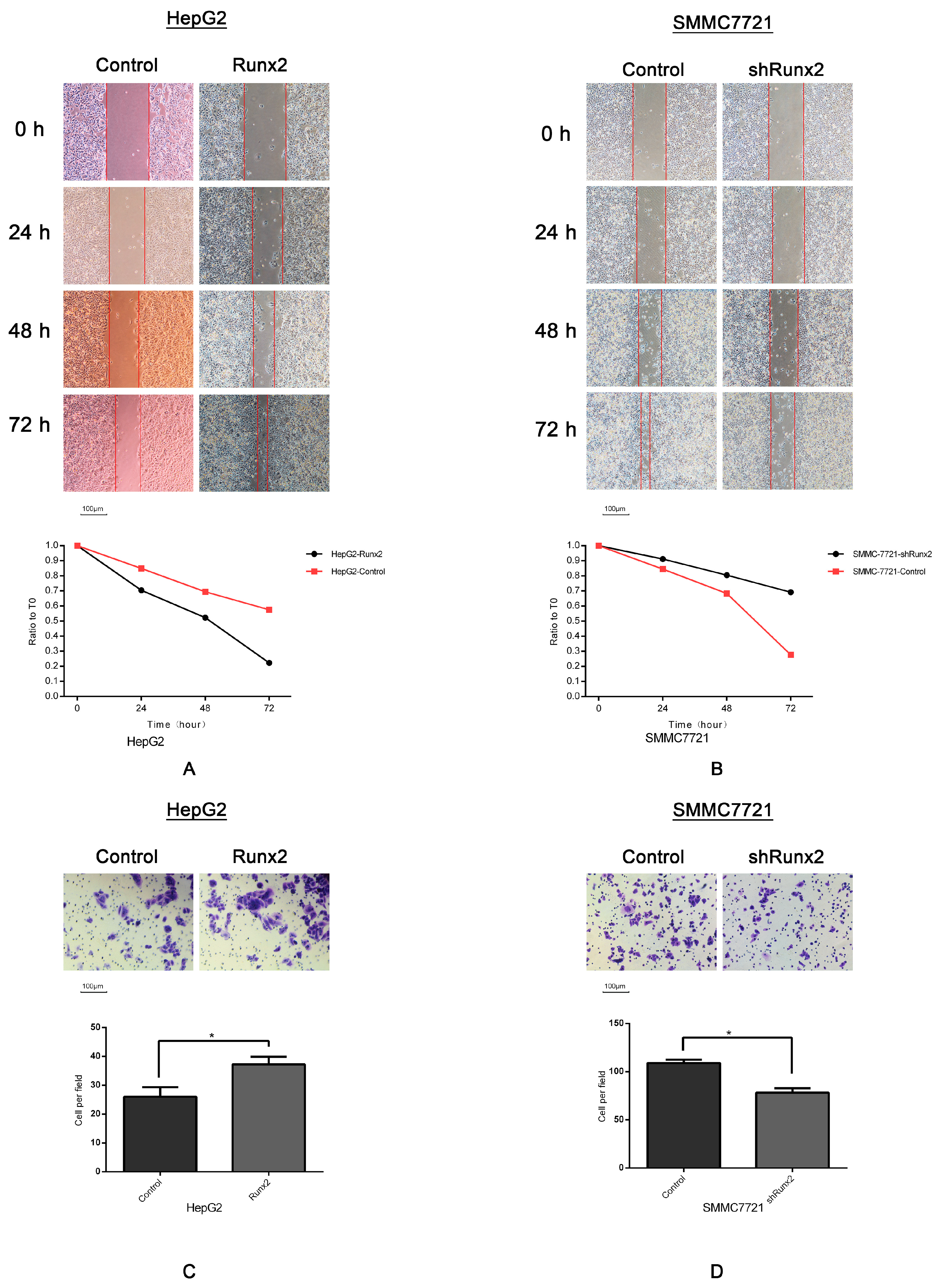 Ijms 18 00500 g004 550
