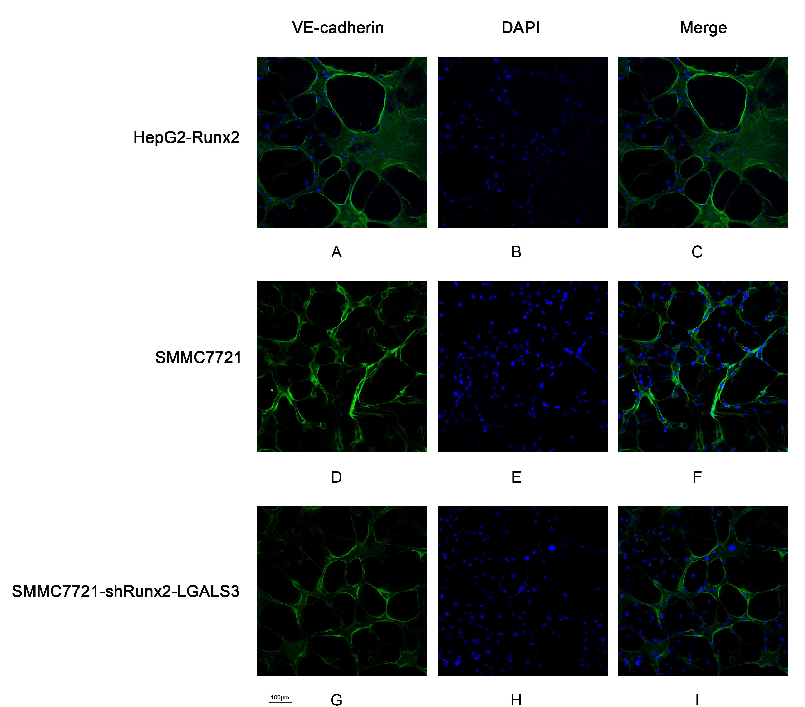 Ijms 18 00500 g006 550