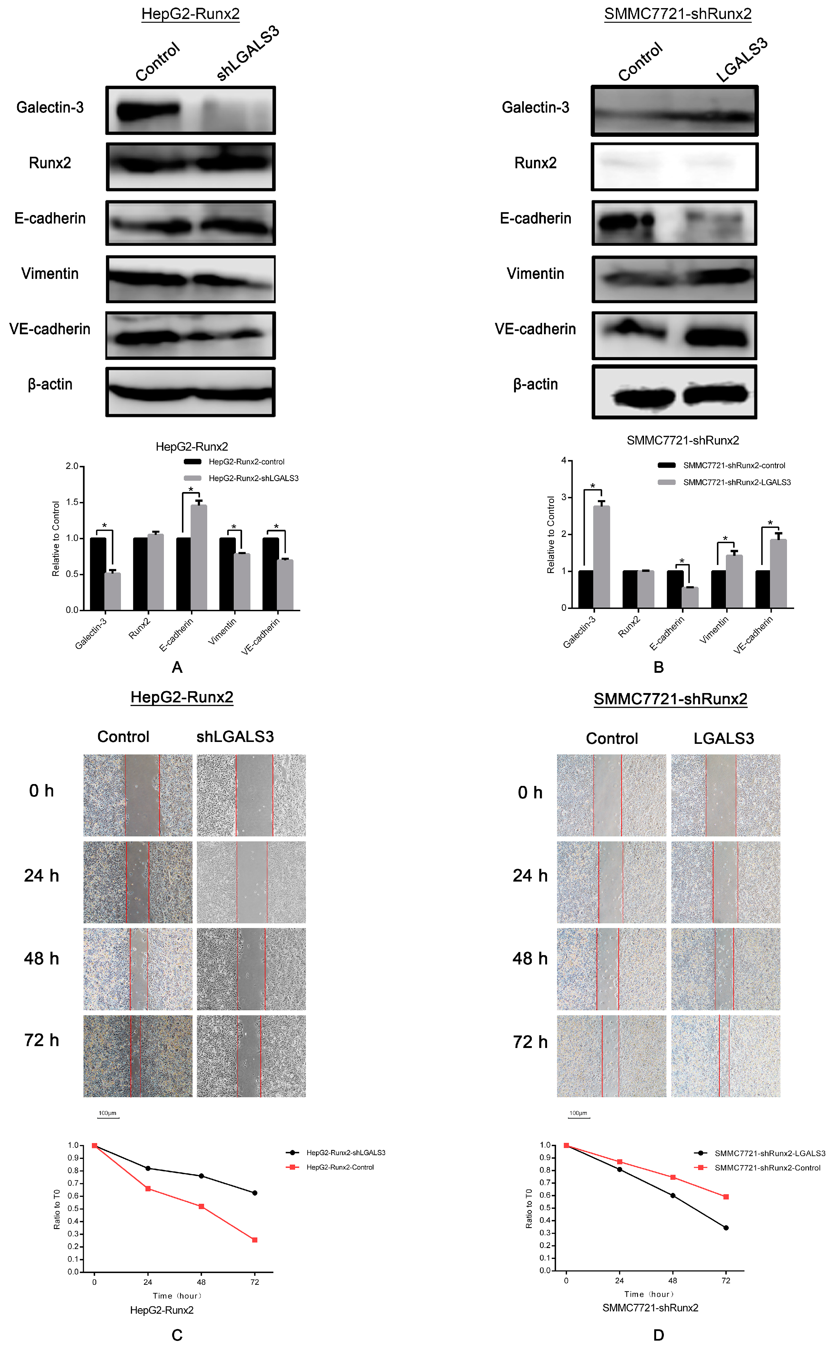 Ijms 18 00500 g007a 550