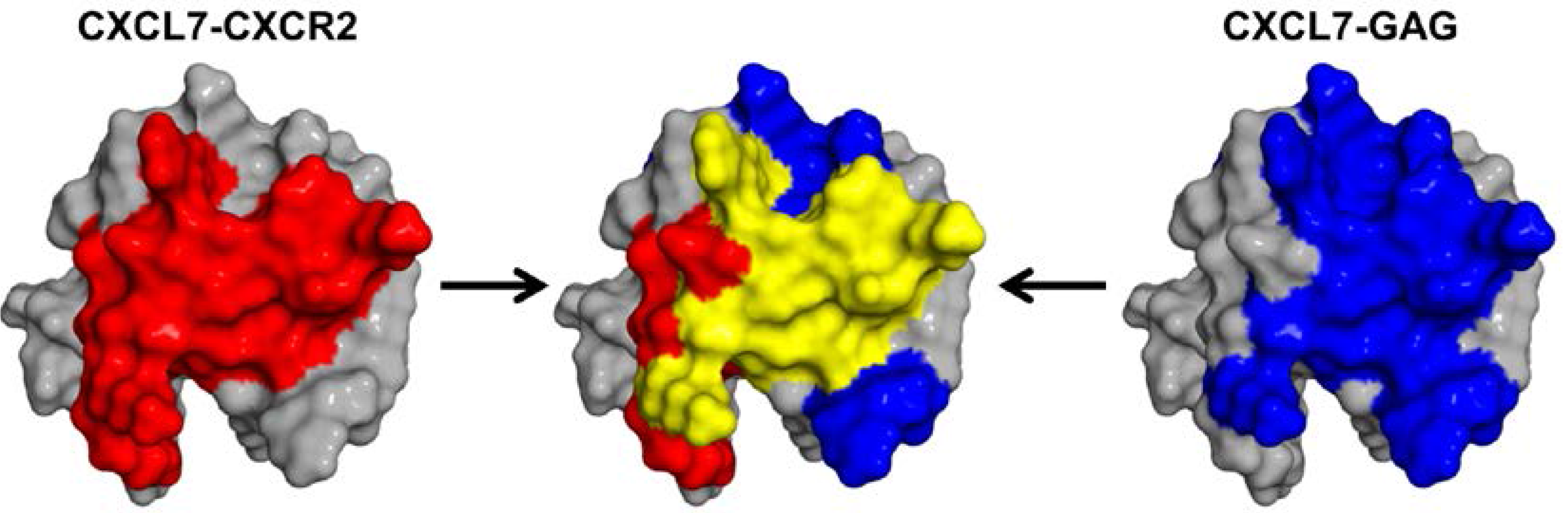 Ijms 18 00508 g008 550