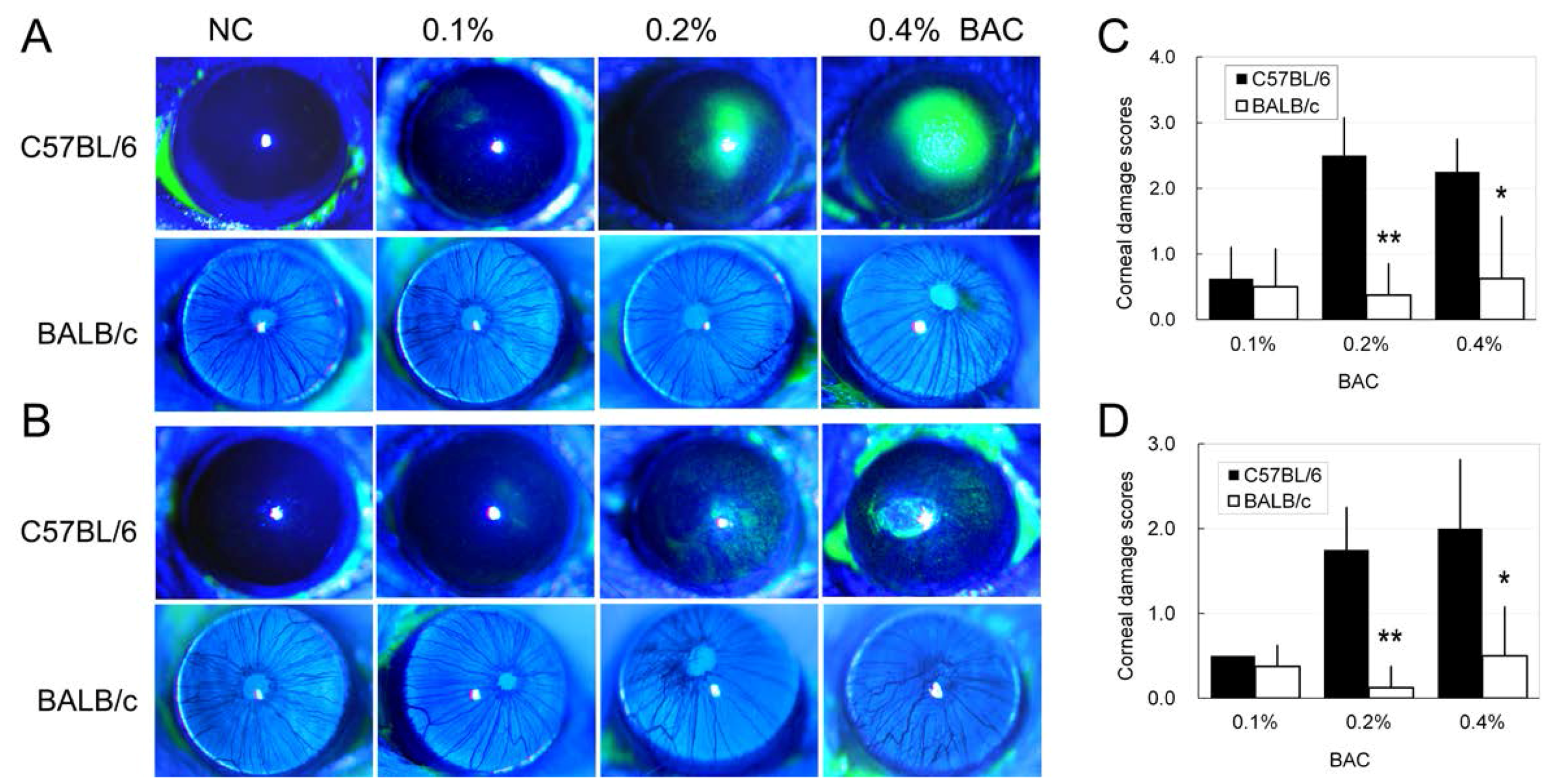 Ijms 18 00509 g003 550