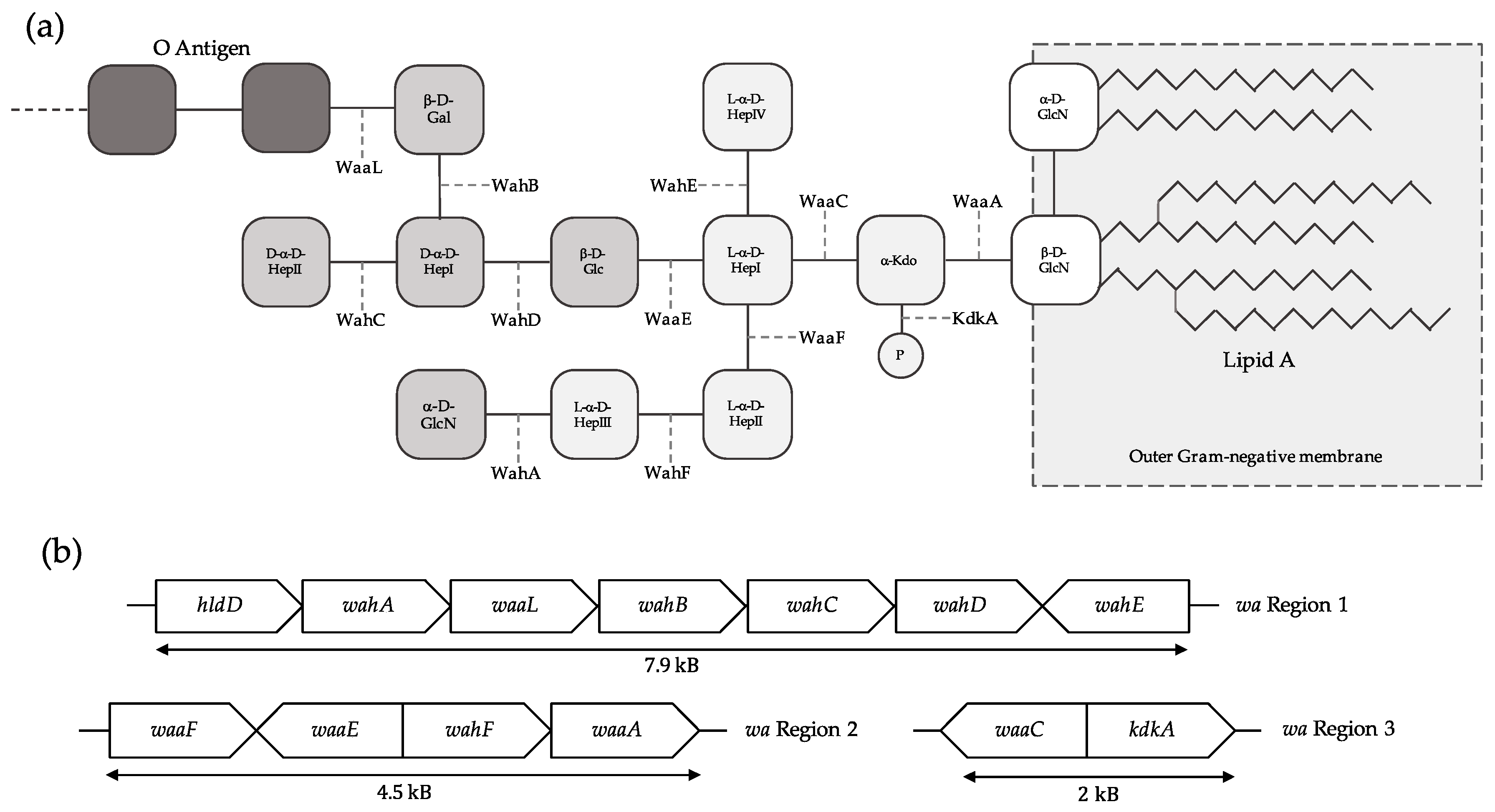 Ijms 18 00519 g001 550