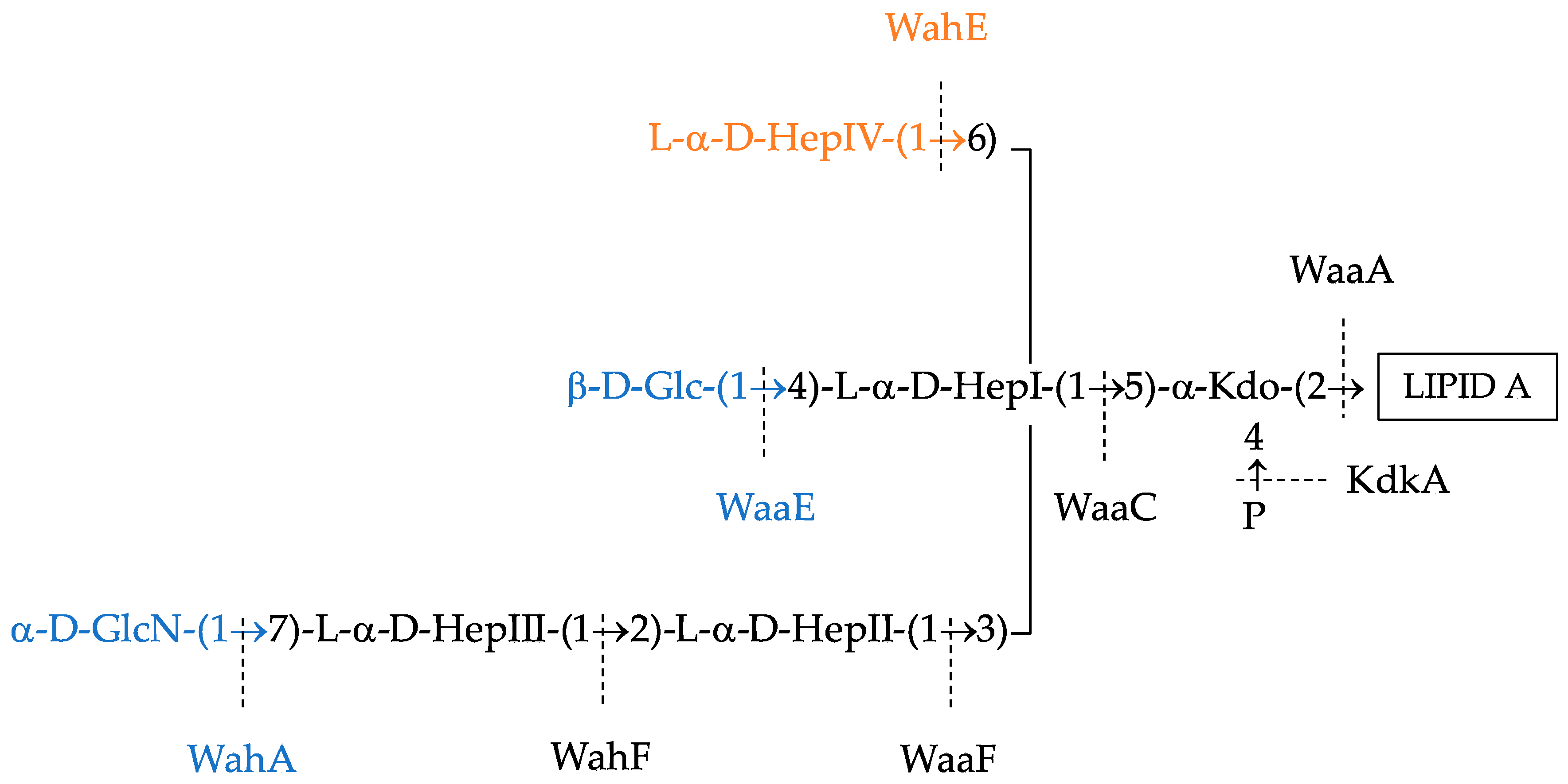 Ijms 18 00519 g005 550