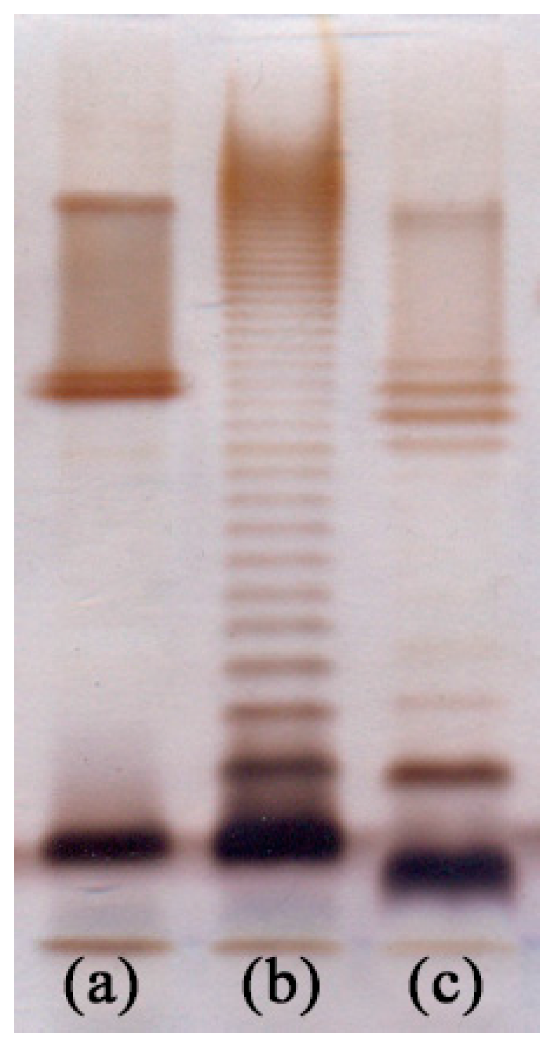 Ijms 18 00519 g006 550