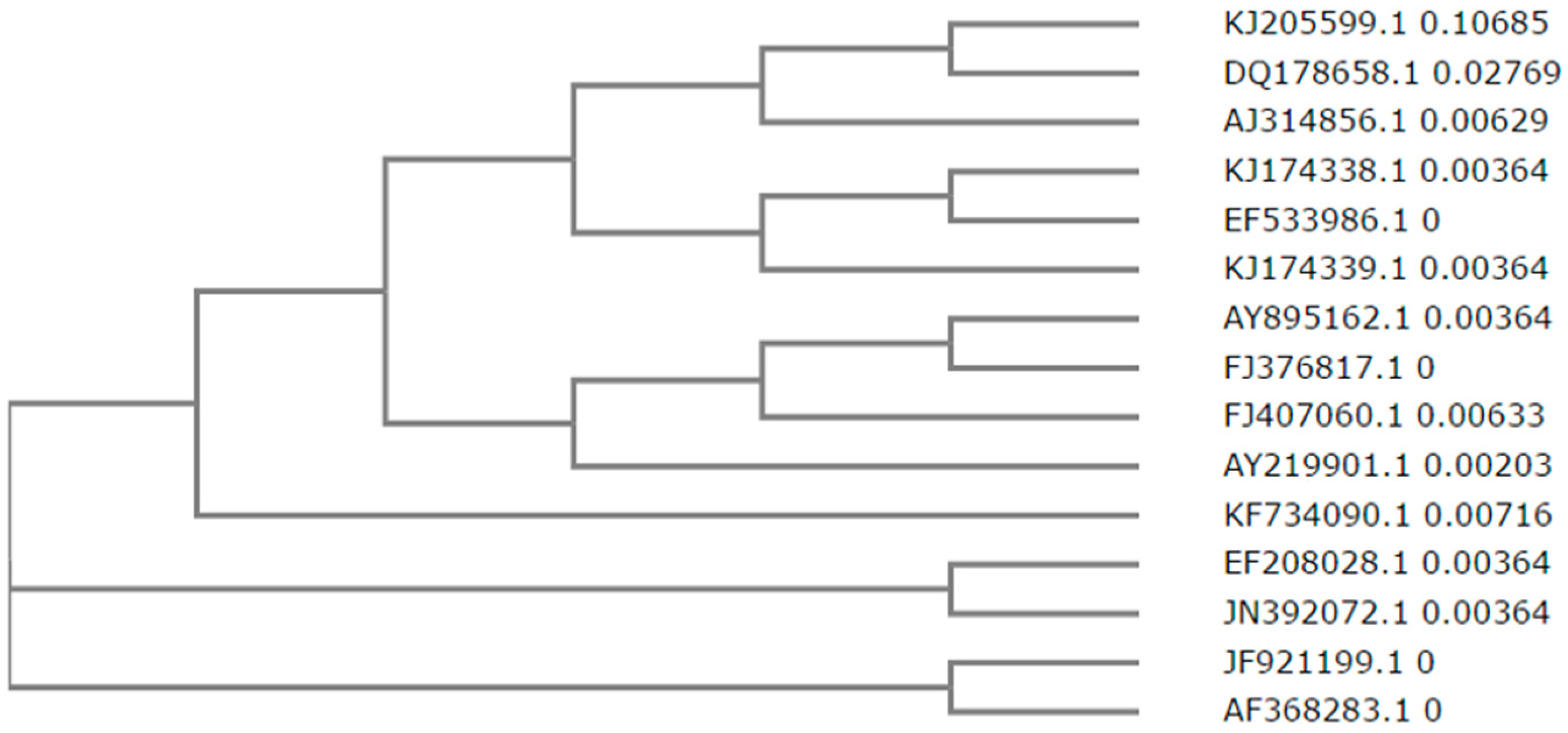 Ijms 18 00523 g006
