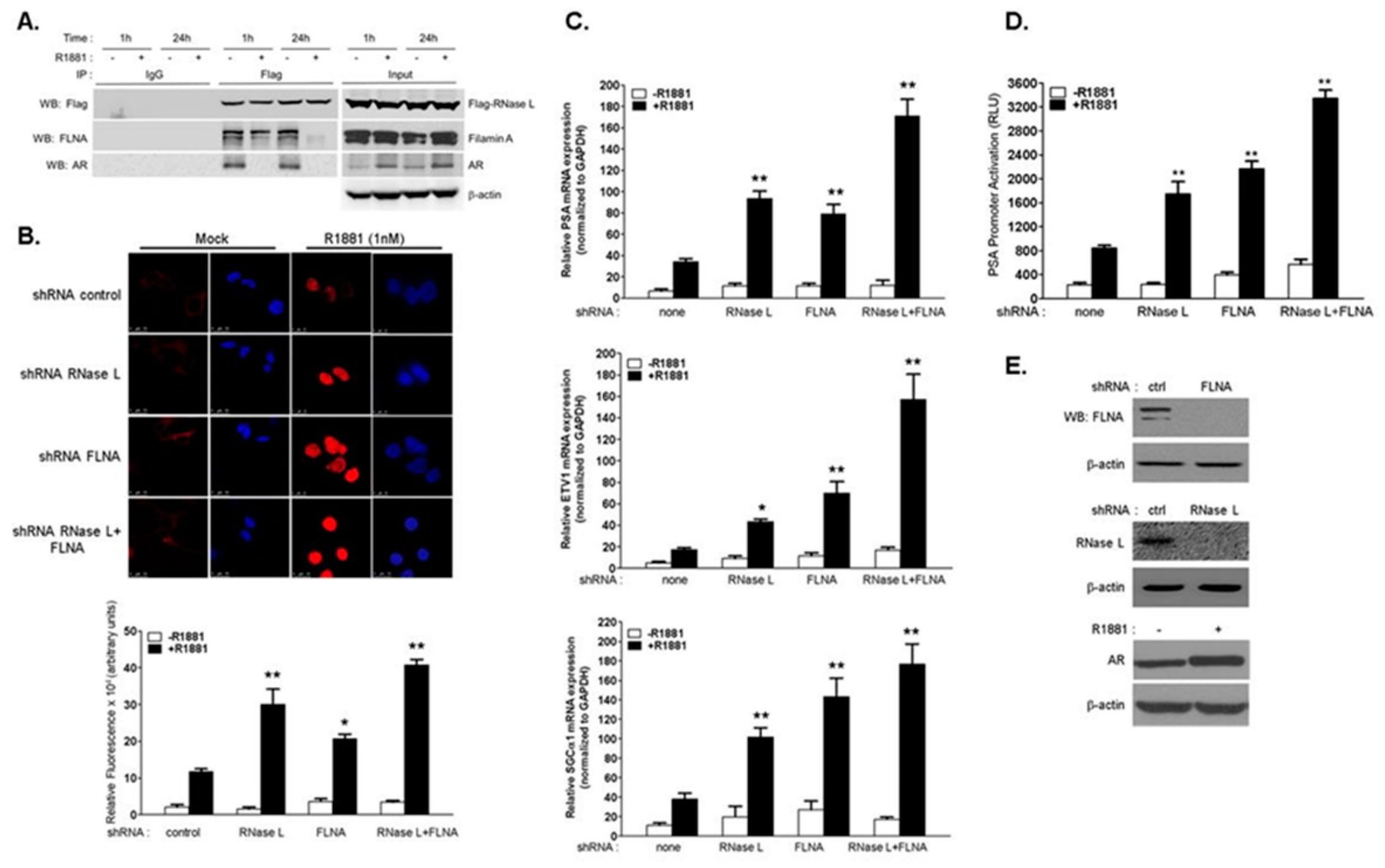 Ijms 18 00529 g001 550
