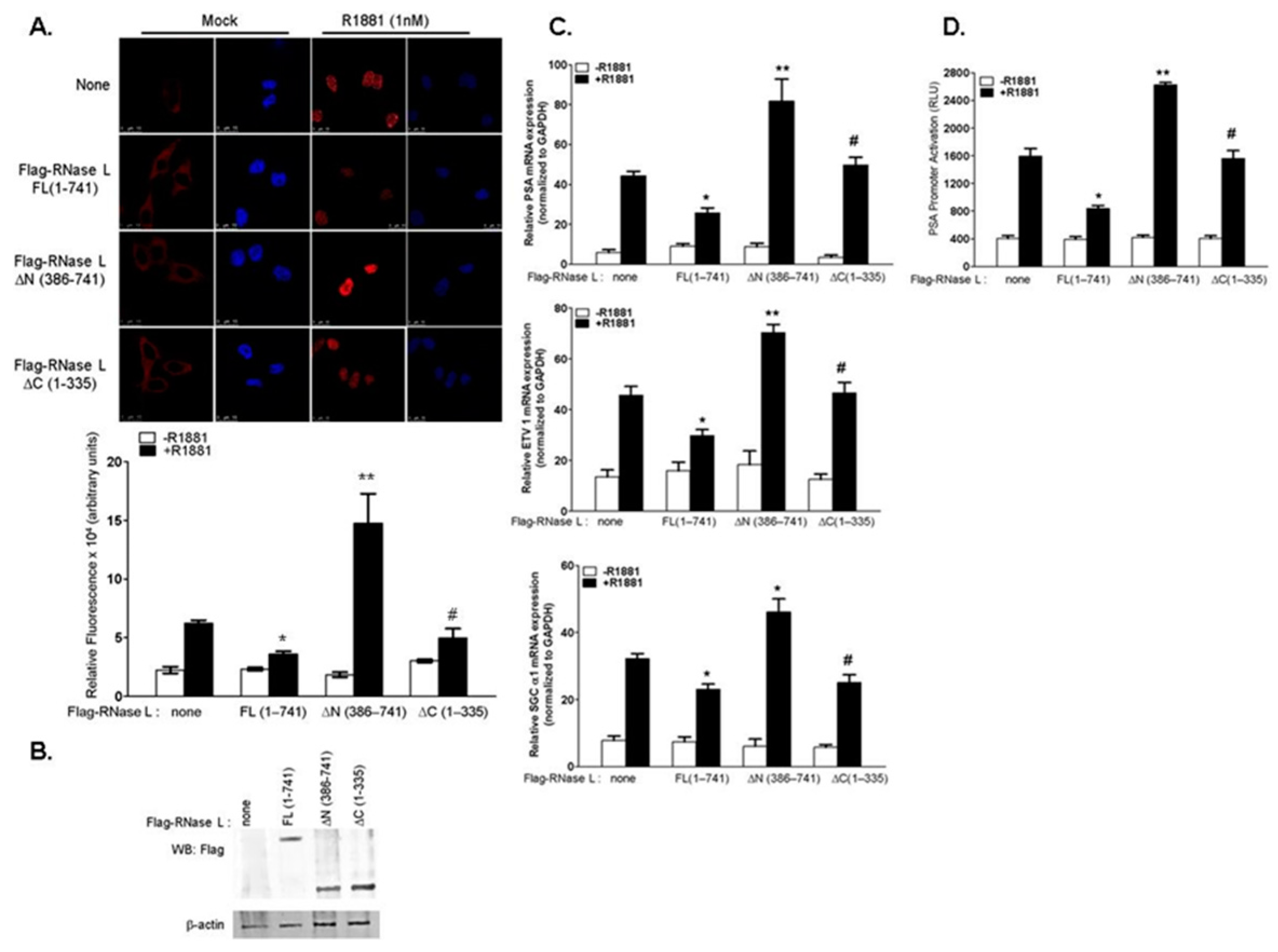 Ijms 18 00529 g002 550