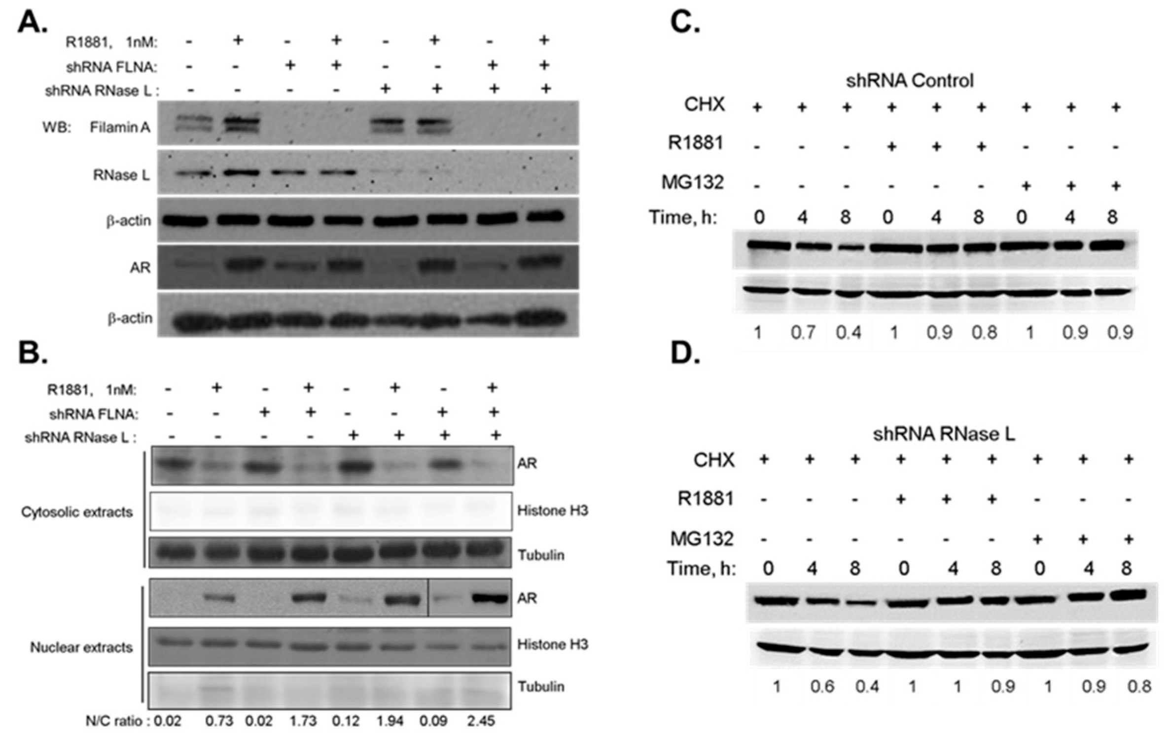 Ijms 18 00529 g003 550
