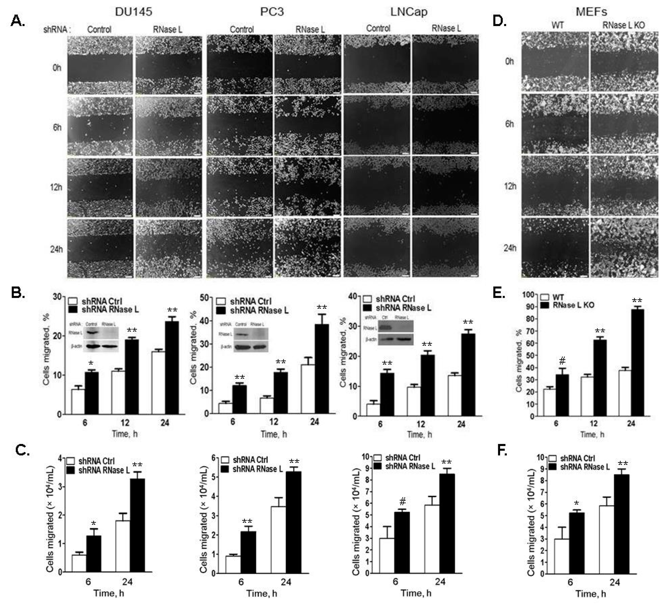 Ijms 18 00529 g005 550