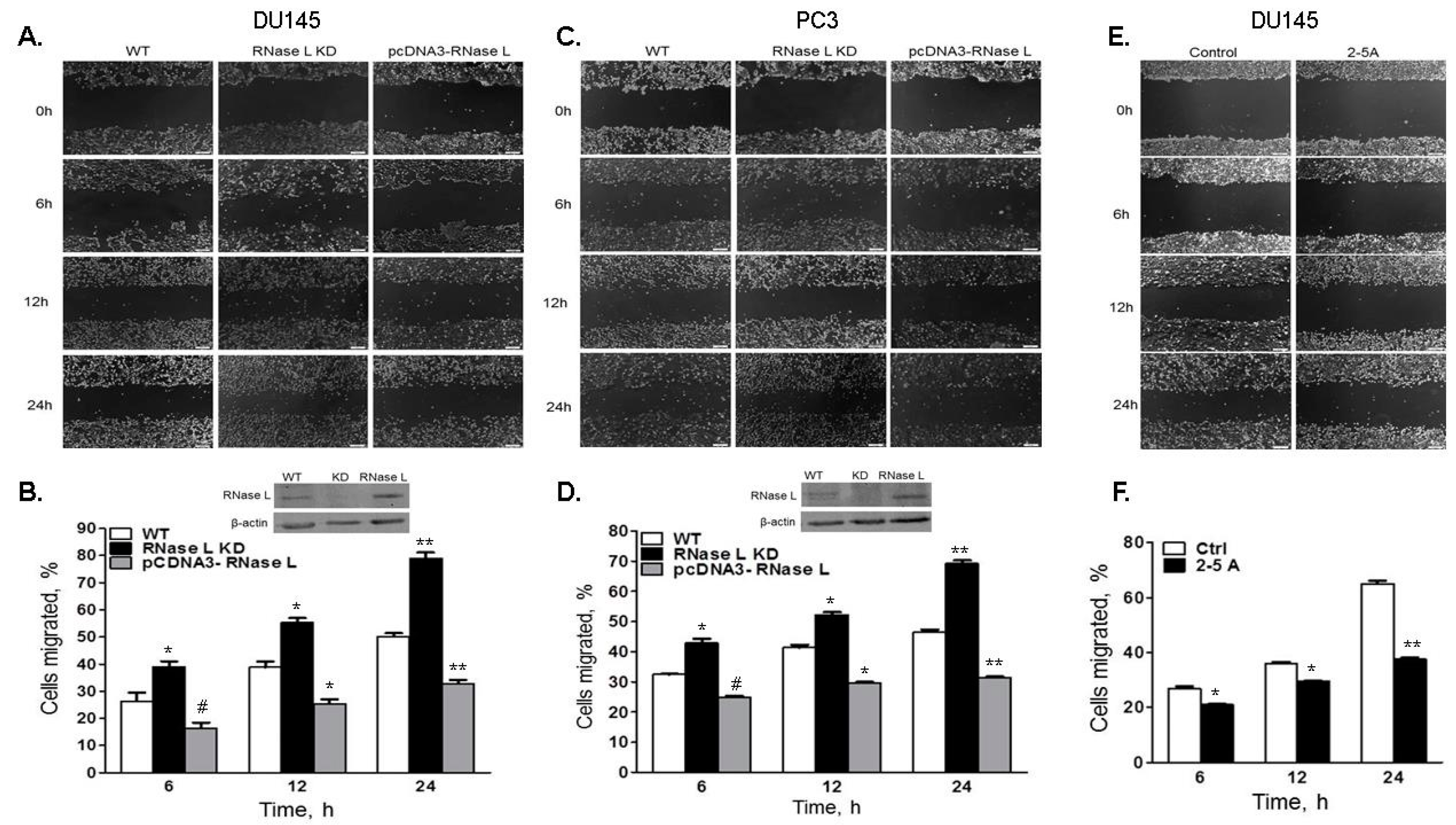 Ijms 18 00529 g006 550