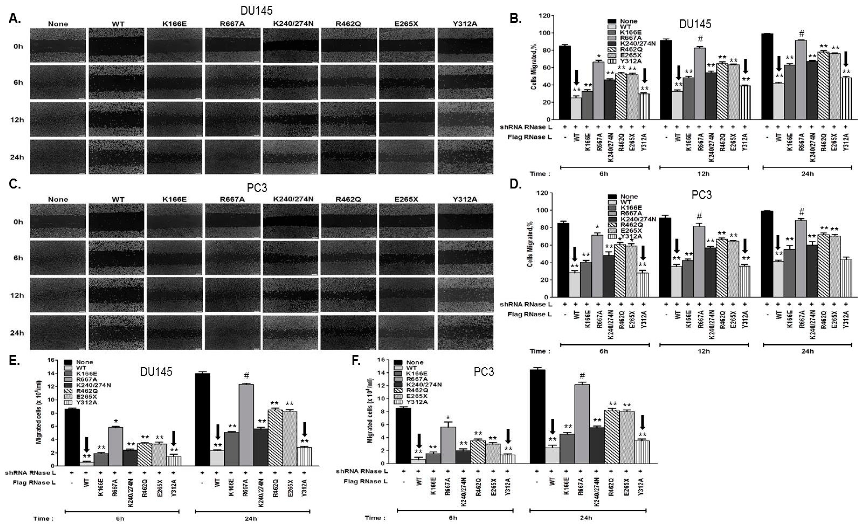 Ijms 18 00529 g007 550
