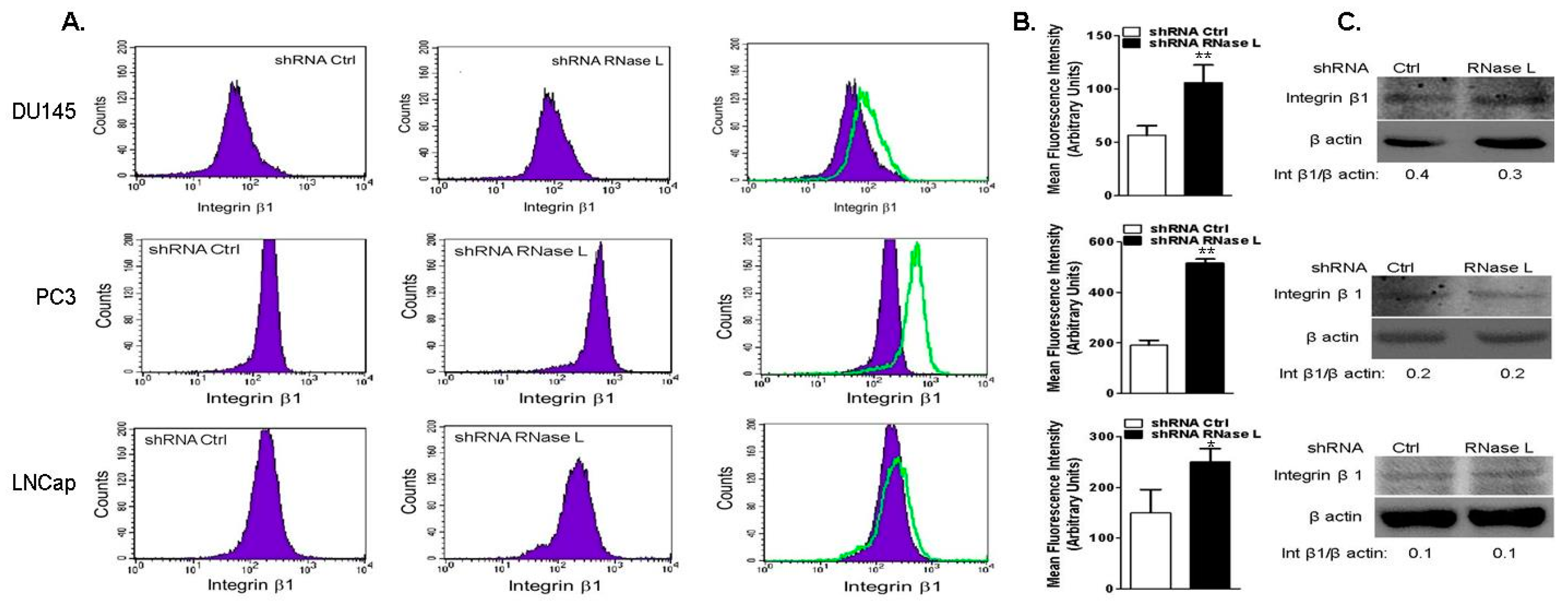 Ijms 18 00529 g009 550