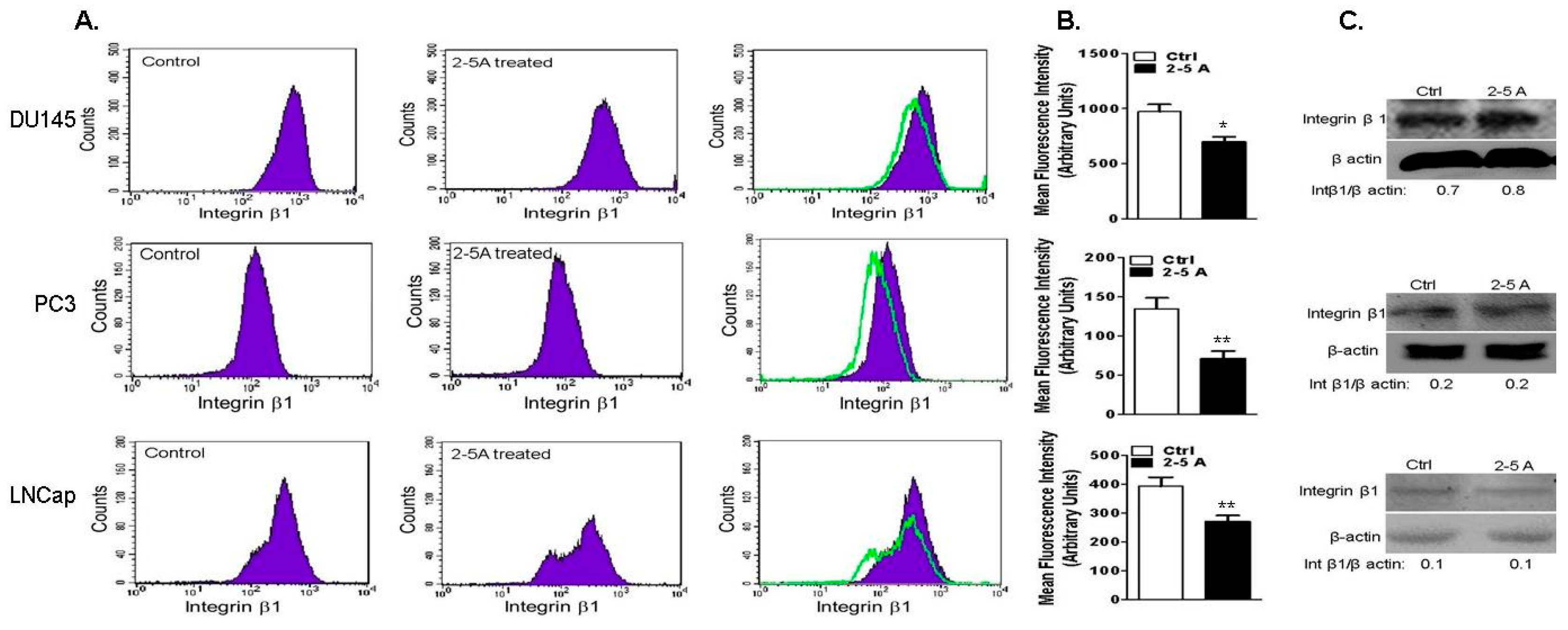 Ijms 18 00529 g010 550
