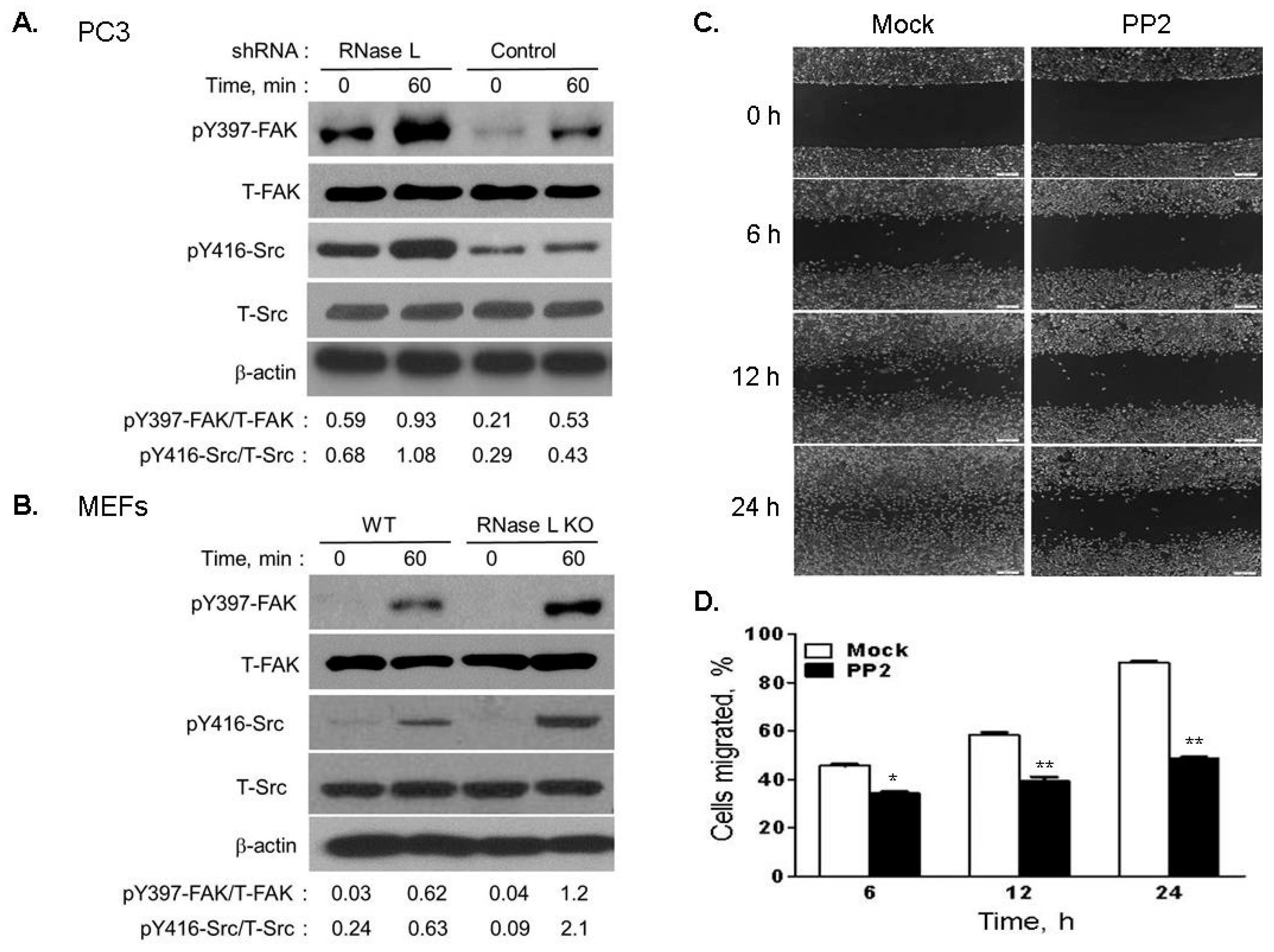 Ijms 18 00529 g011 550