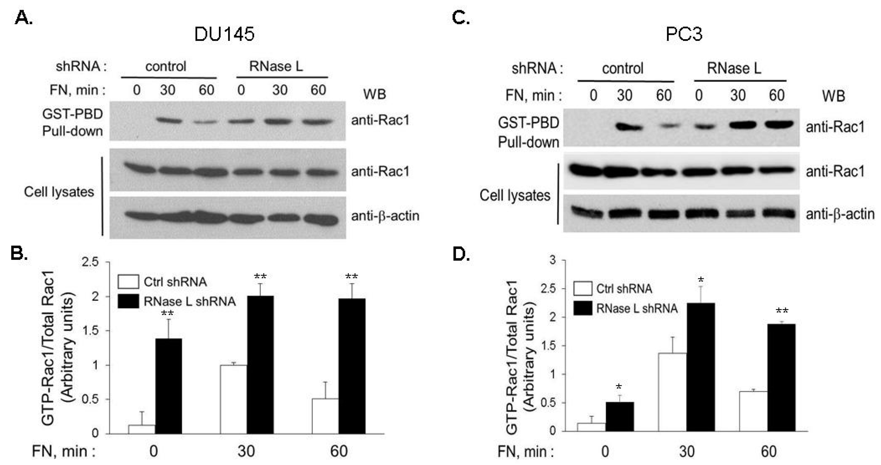 Ijms 18 00529 g013 550