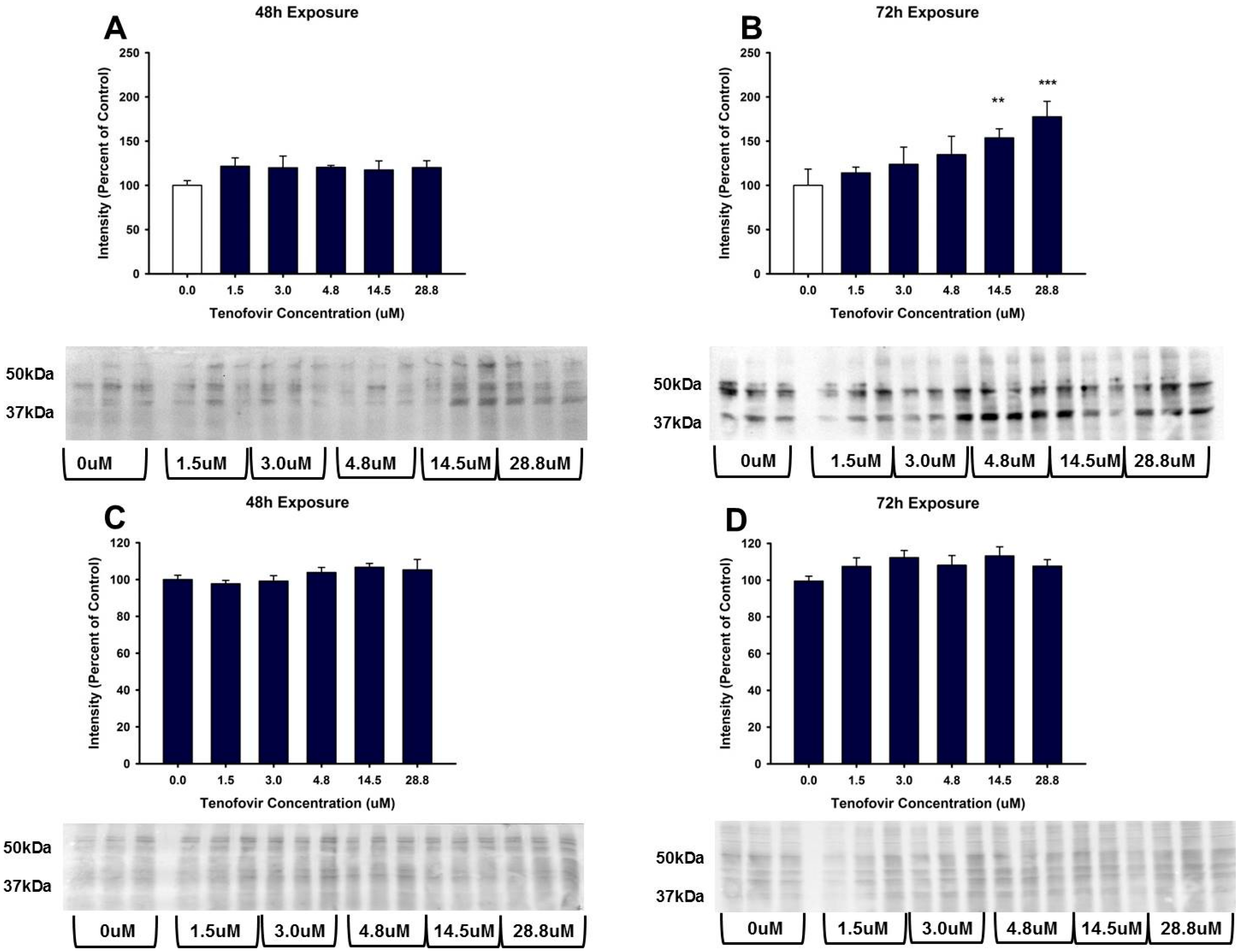 Ijms 18 00531 g004 550