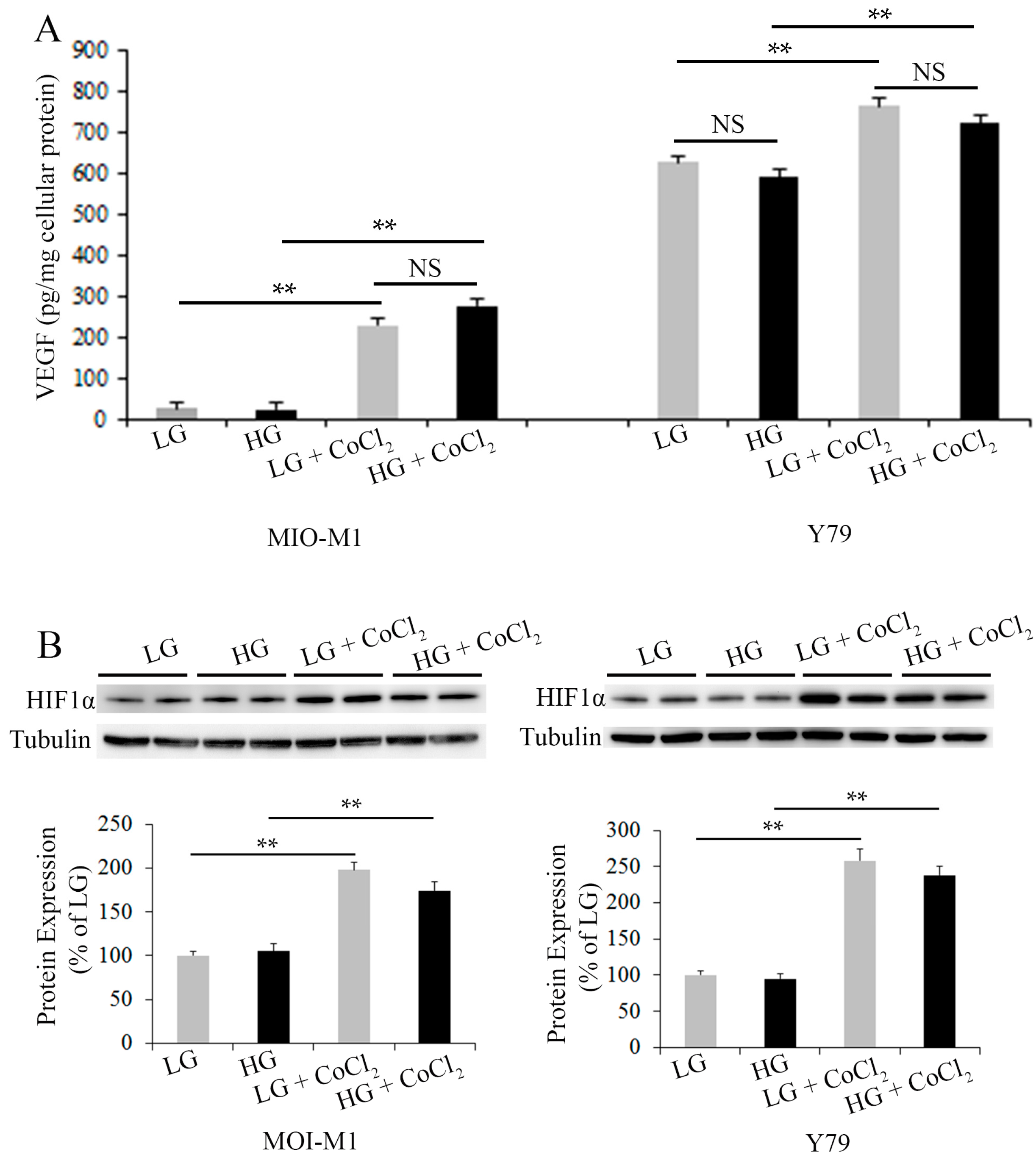 Ijms 18 00533 g002 550