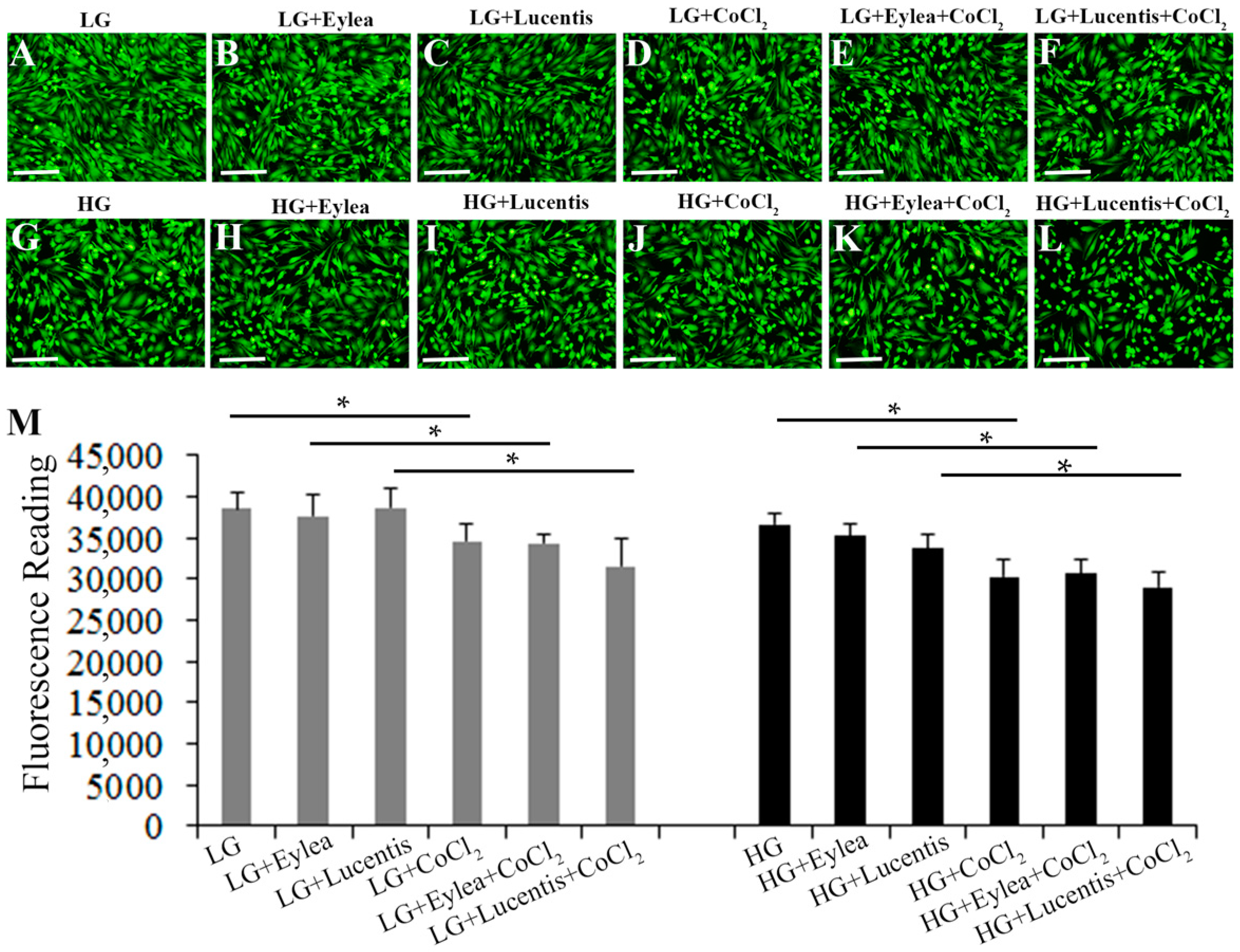 Ijms 18 00533 g003 550