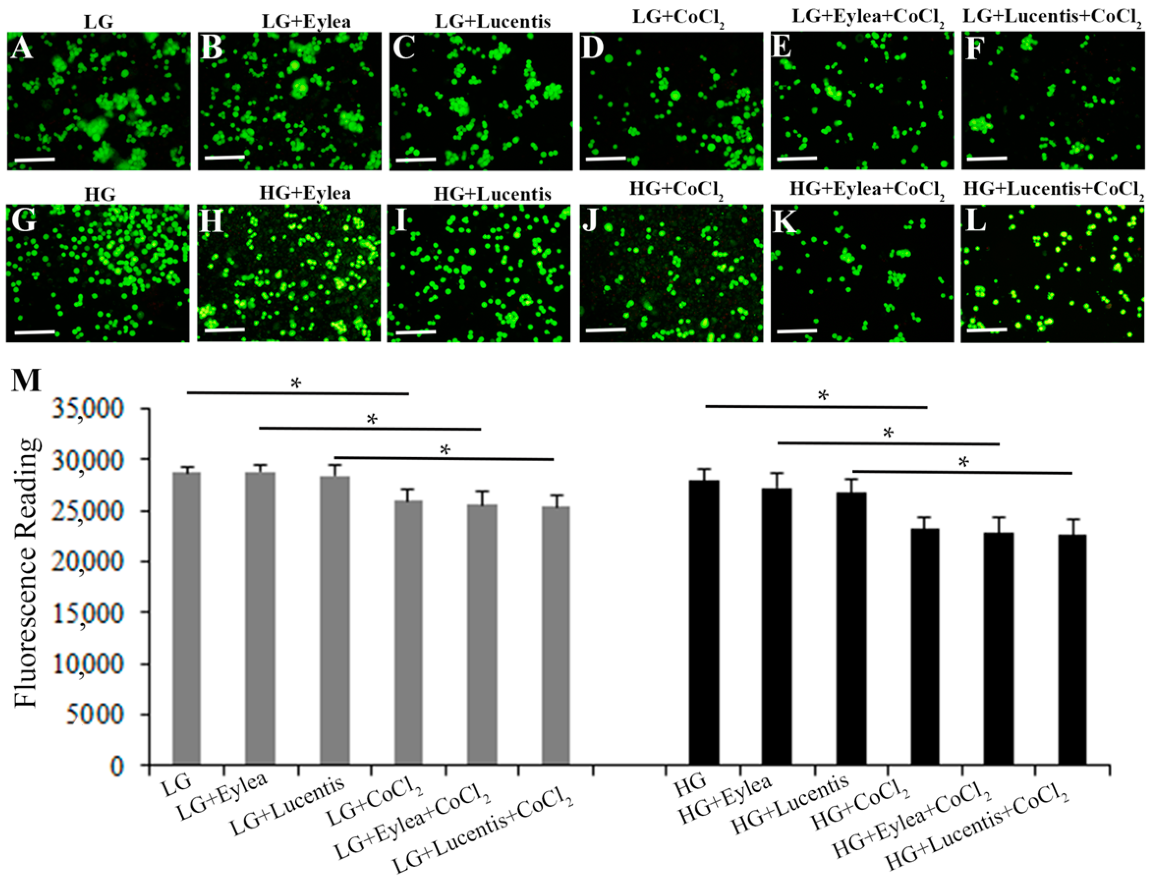Ijms 18 00533 g004 550