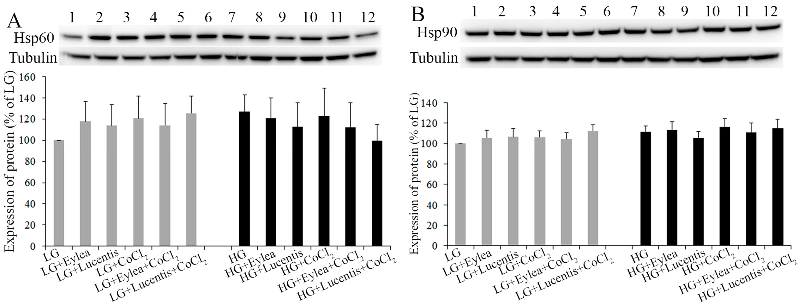 Ijms 18 00533 g005 550