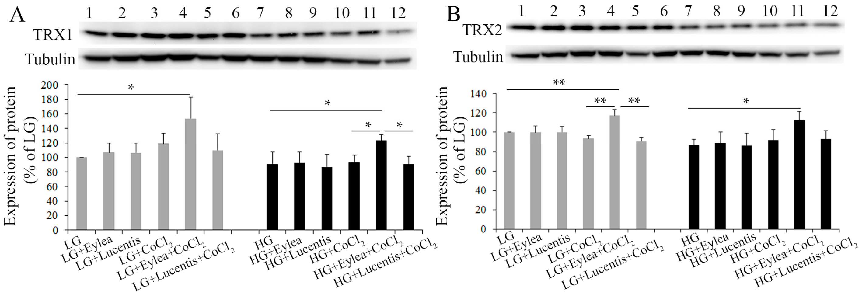 Ijms 18 00533 g007 550
