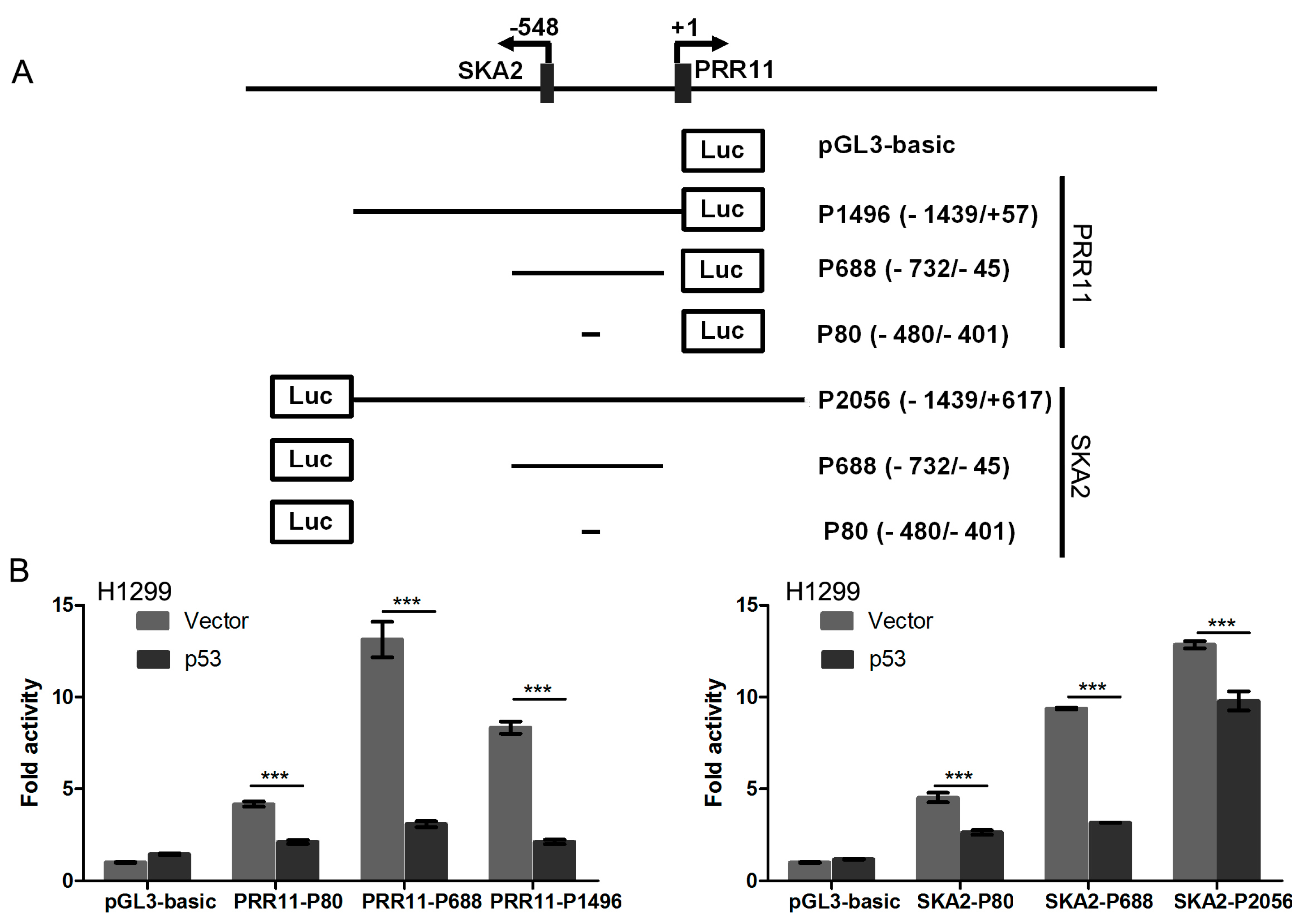 Ijms 18 00534 g001 550