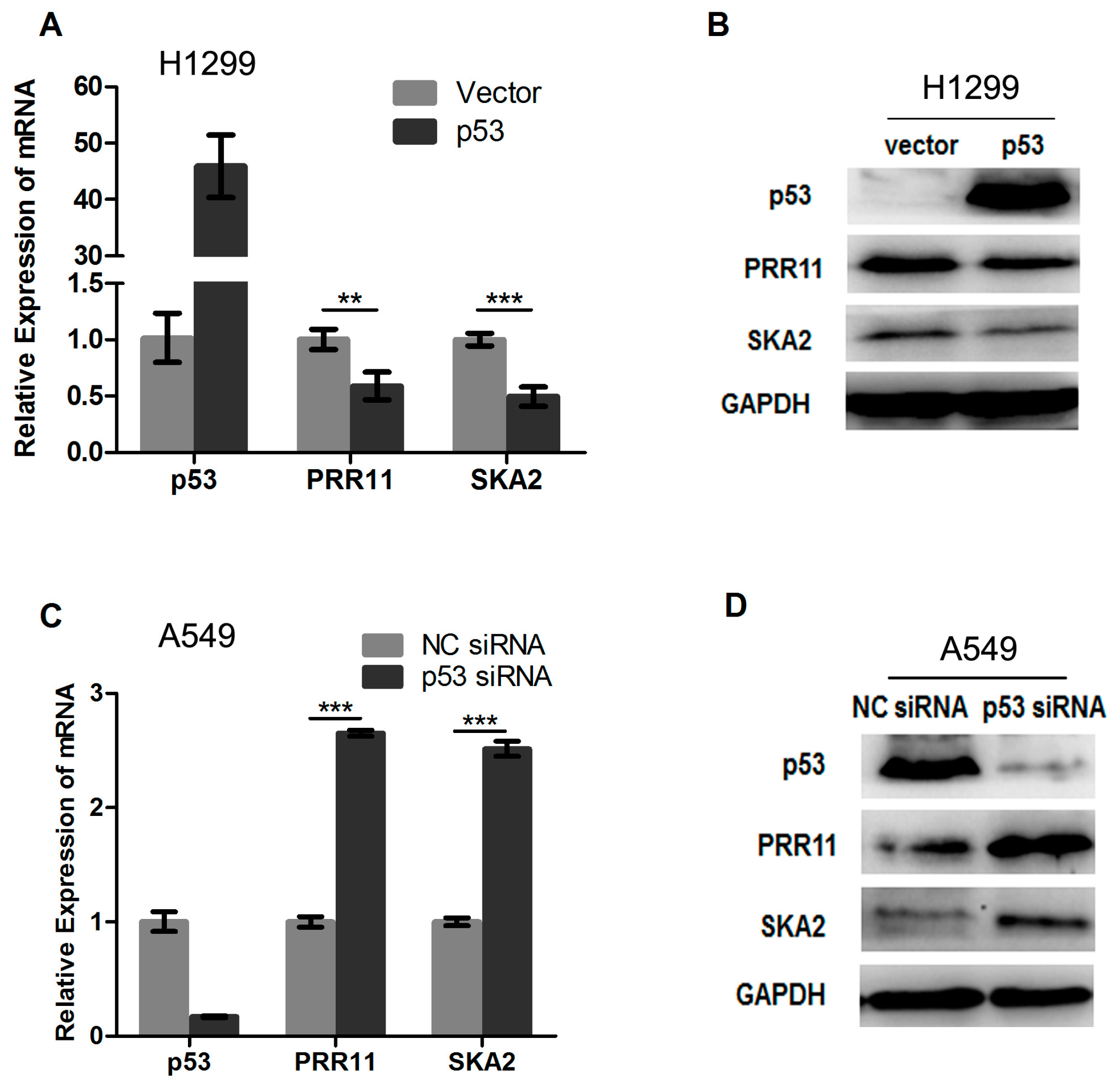 Ijms 18 00534 g002 550