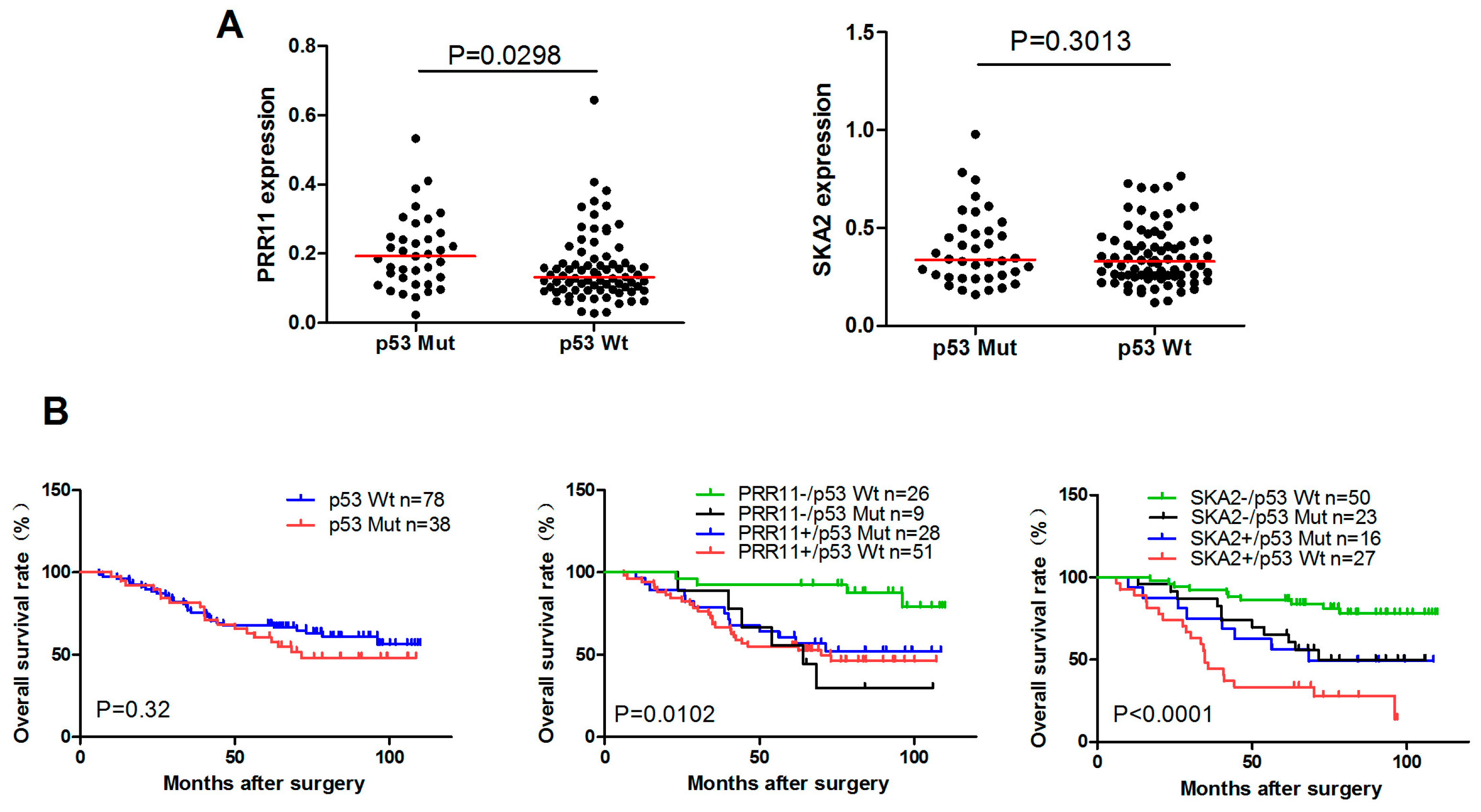 Ijms 18 00534 g005 550