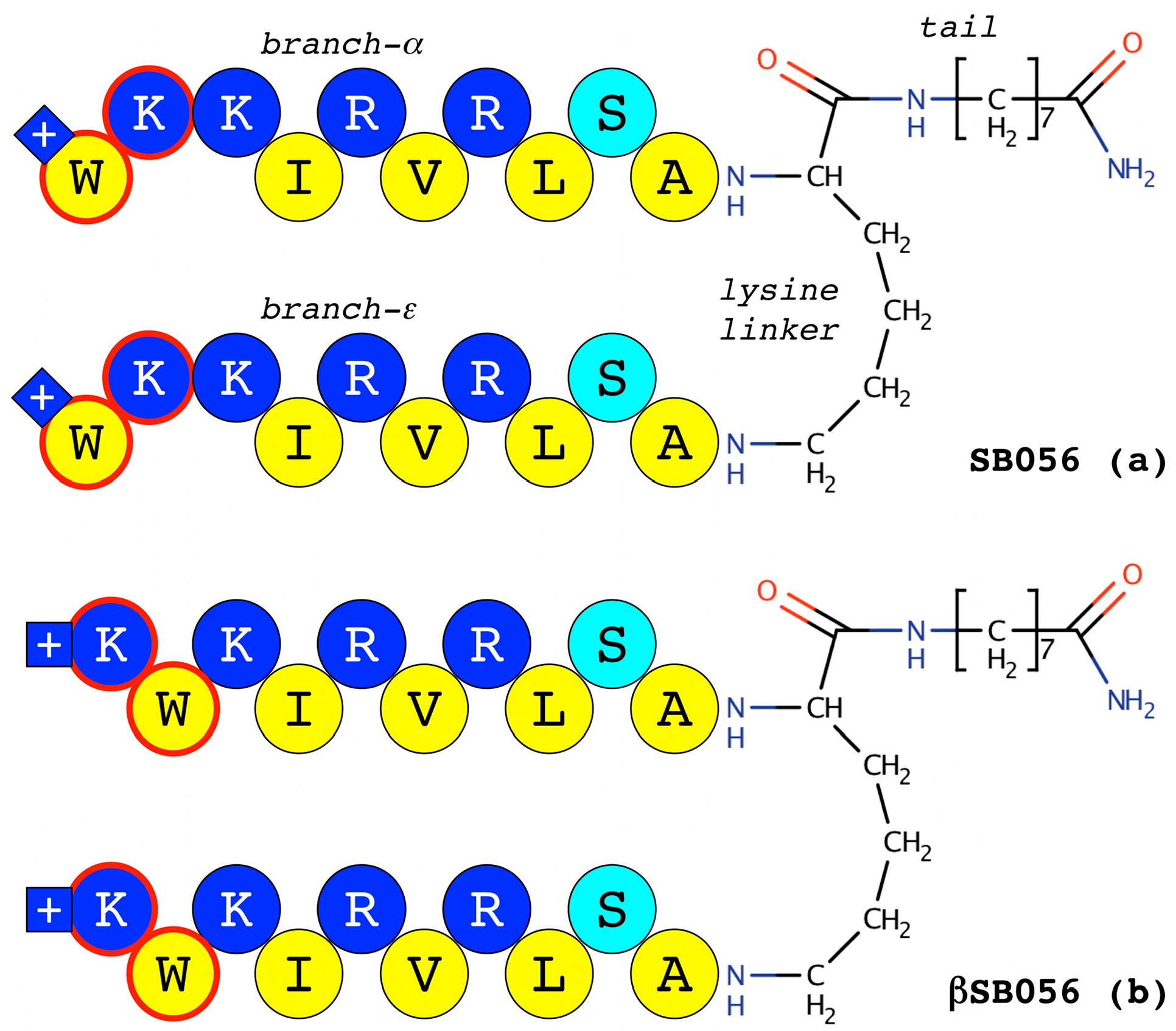 Ijms 18 00542 g002 550