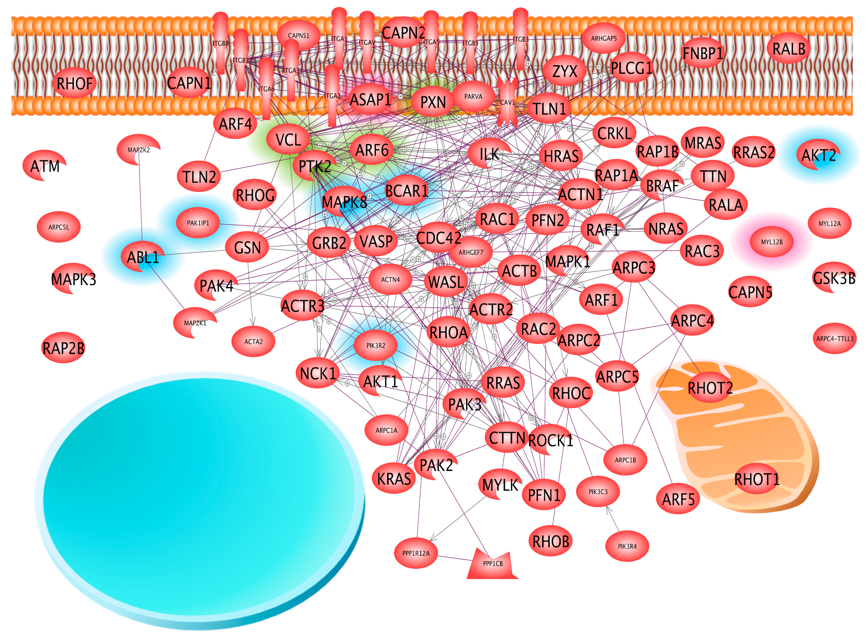 Ijms 18 00546 g002 550