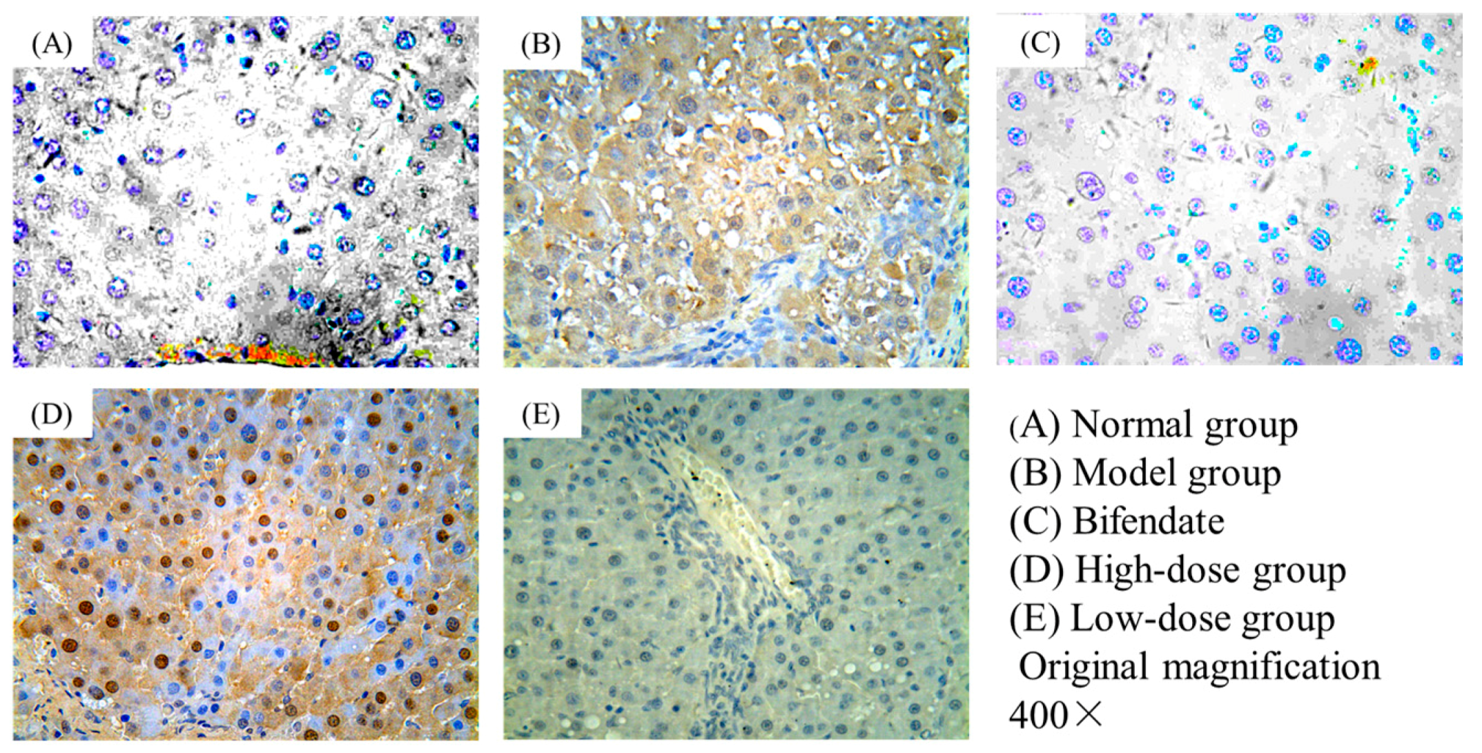 Ijms 18 00553 g003 550