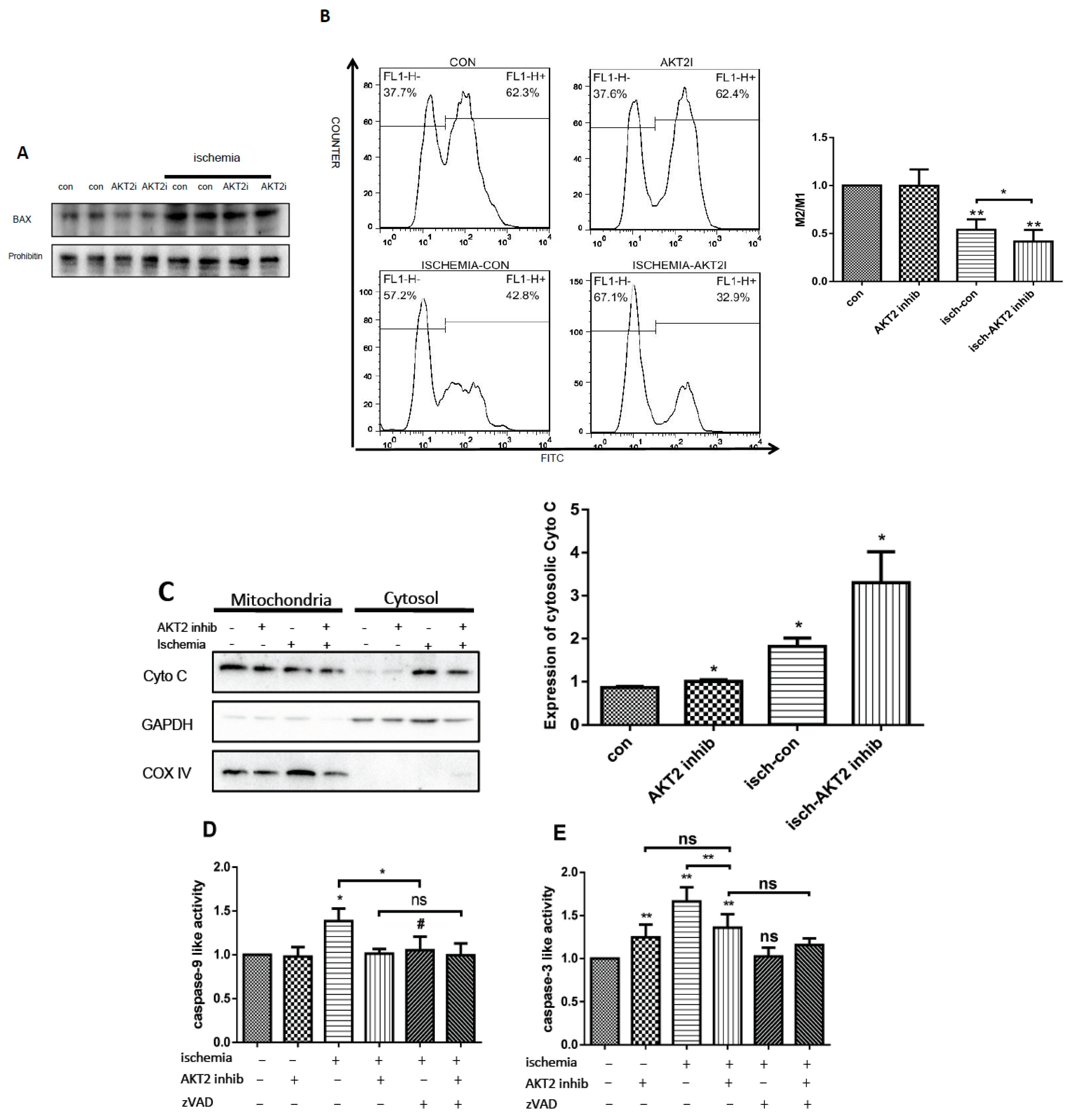 Ijms 18 00565 g004a 550