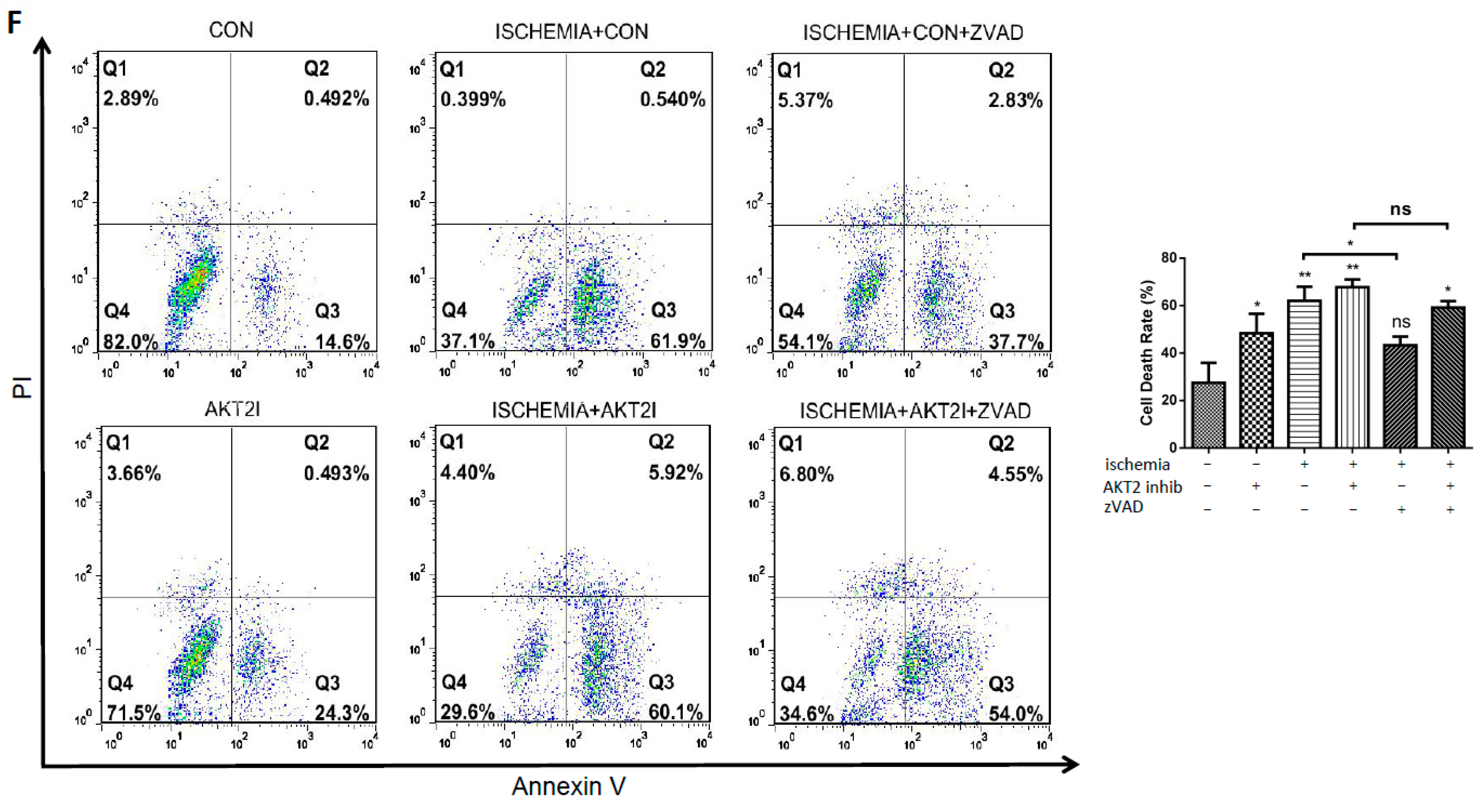 Ijms 18 00565 g004b 550