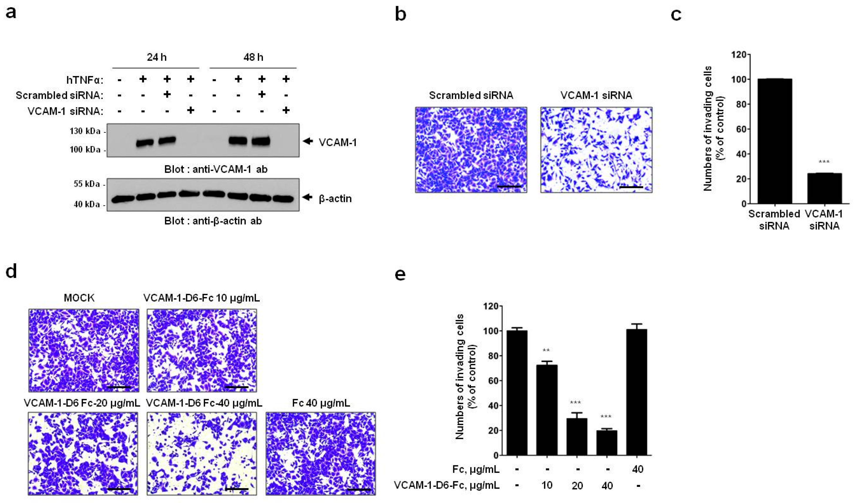 Ijms 18 00566 g002 550