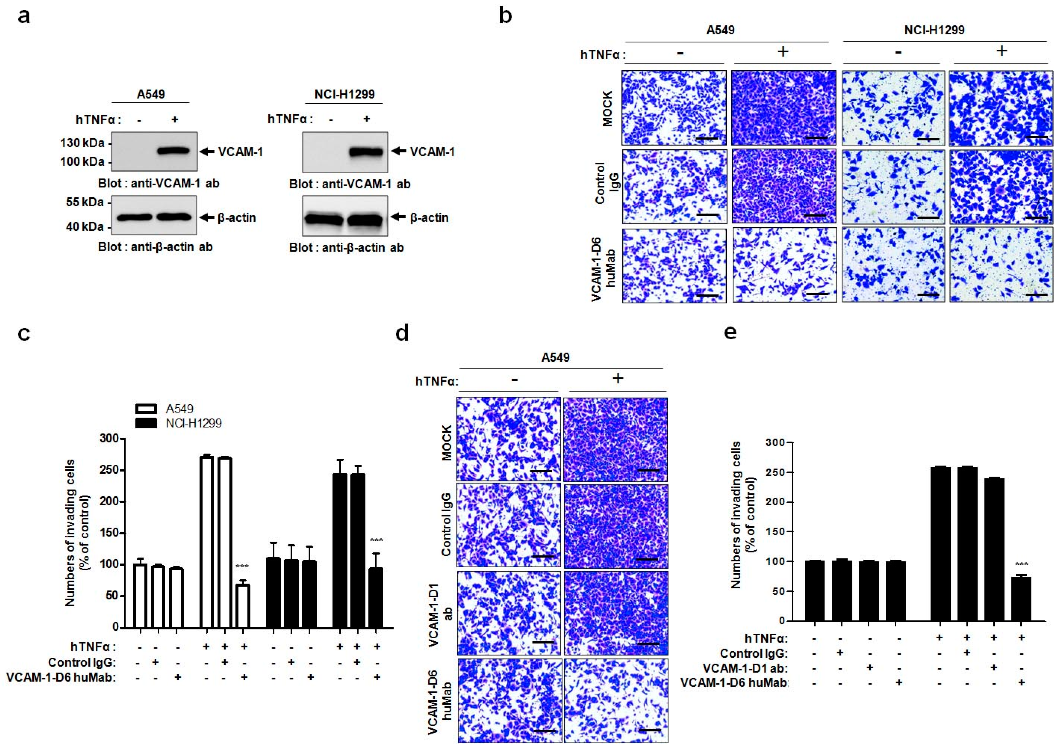 Ijms 18 00566 g004 550