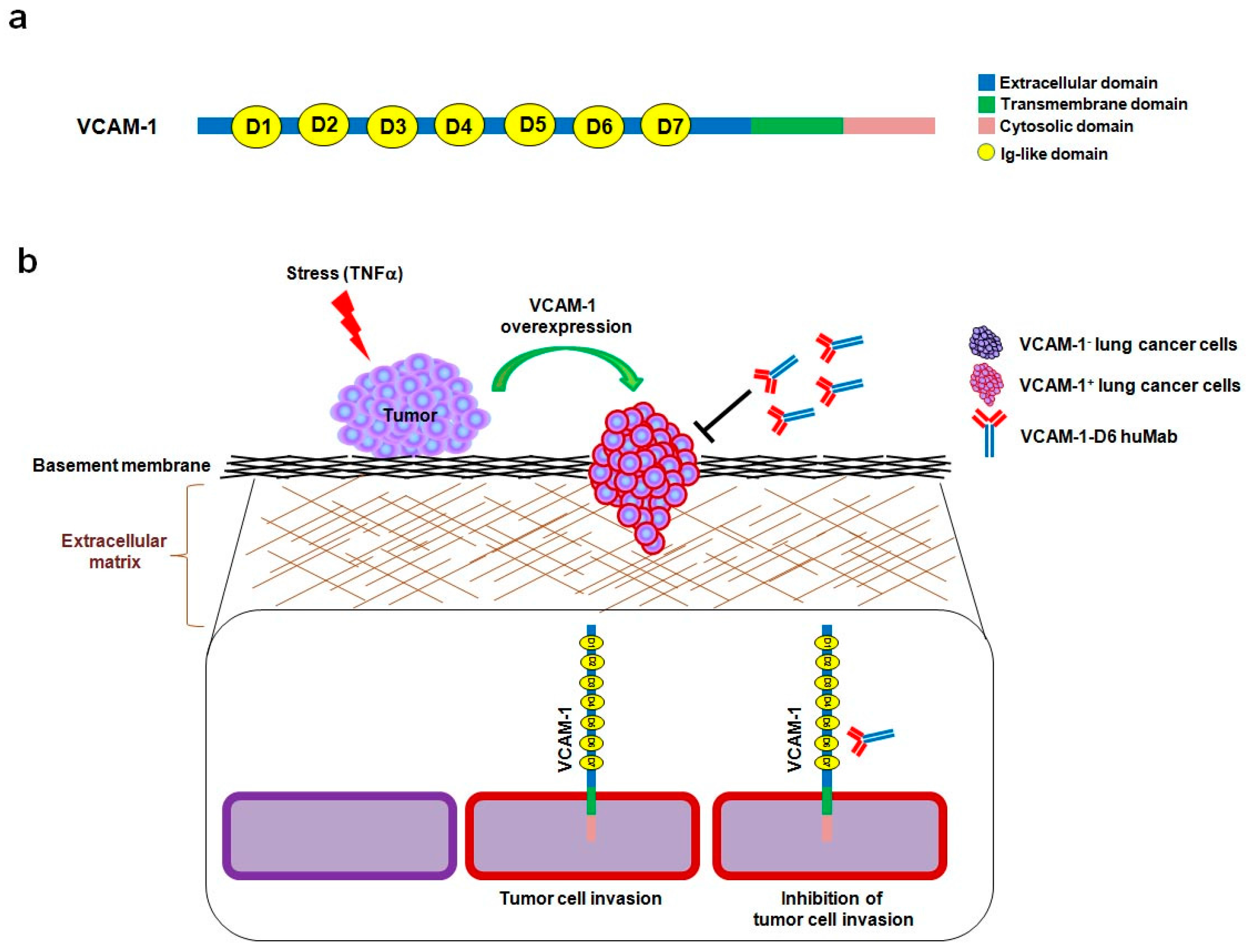 Ijms 18 00566 g005 550