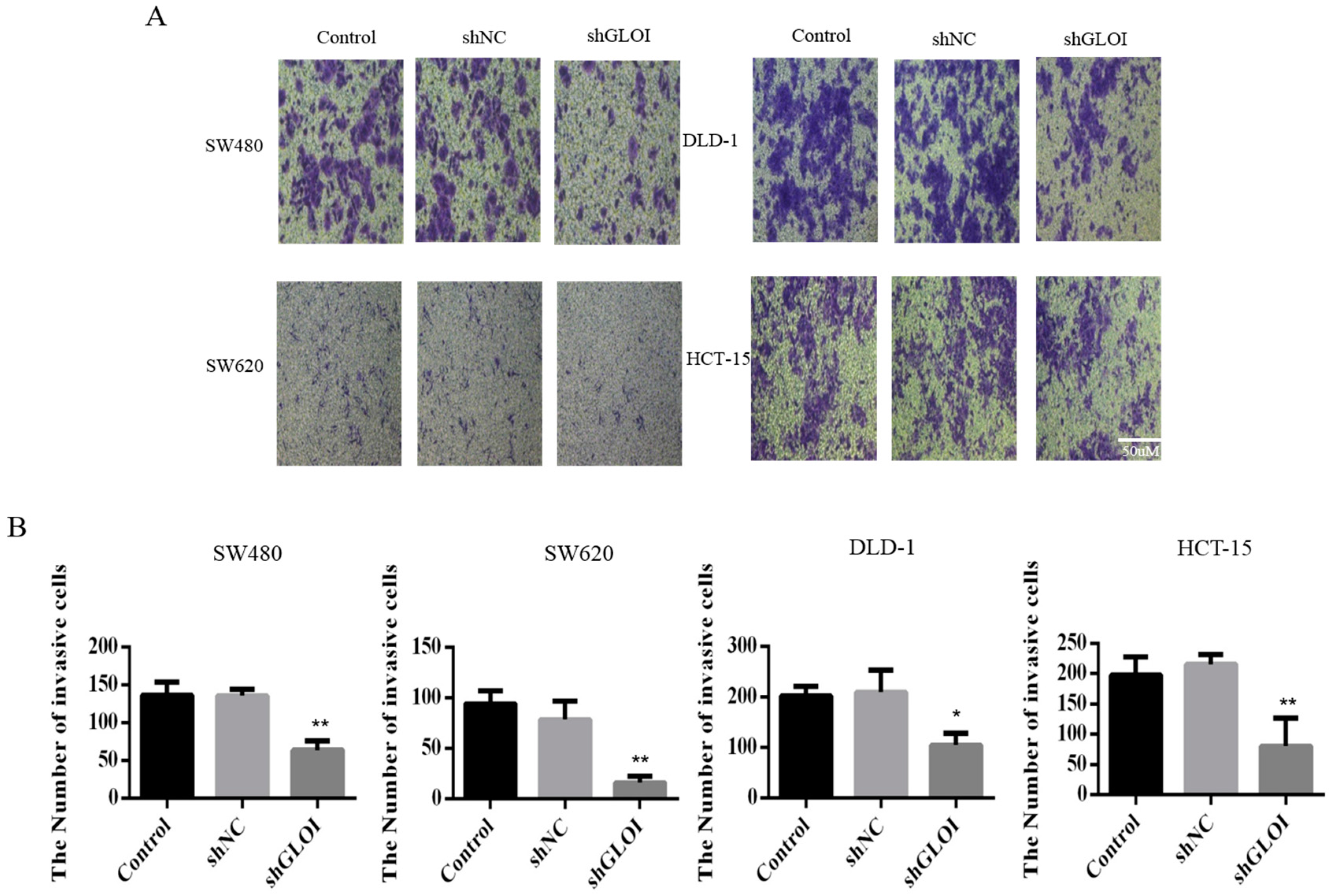 Ijms 18 00570 g006 550
