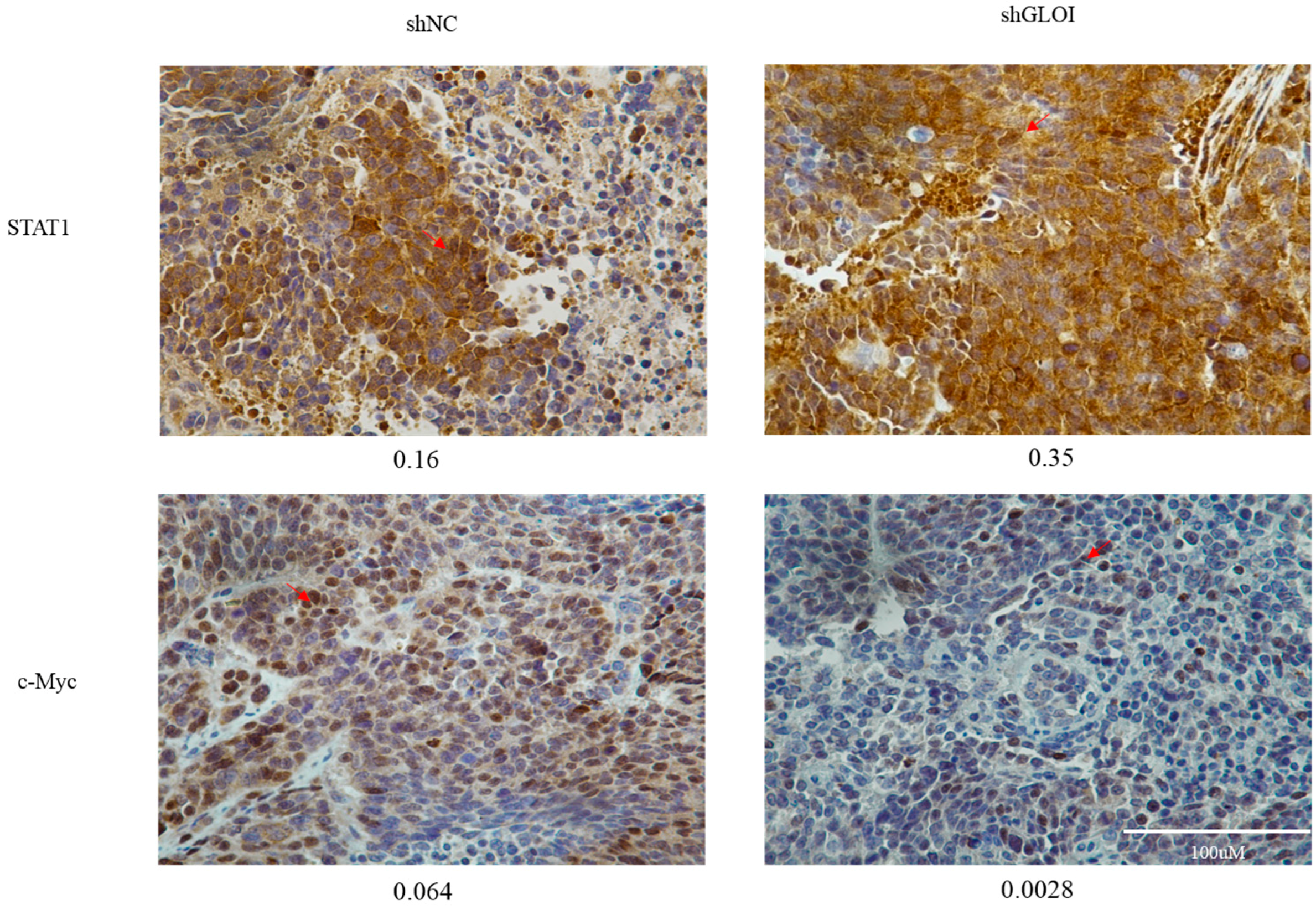 Ijms 18 00570 g011 550