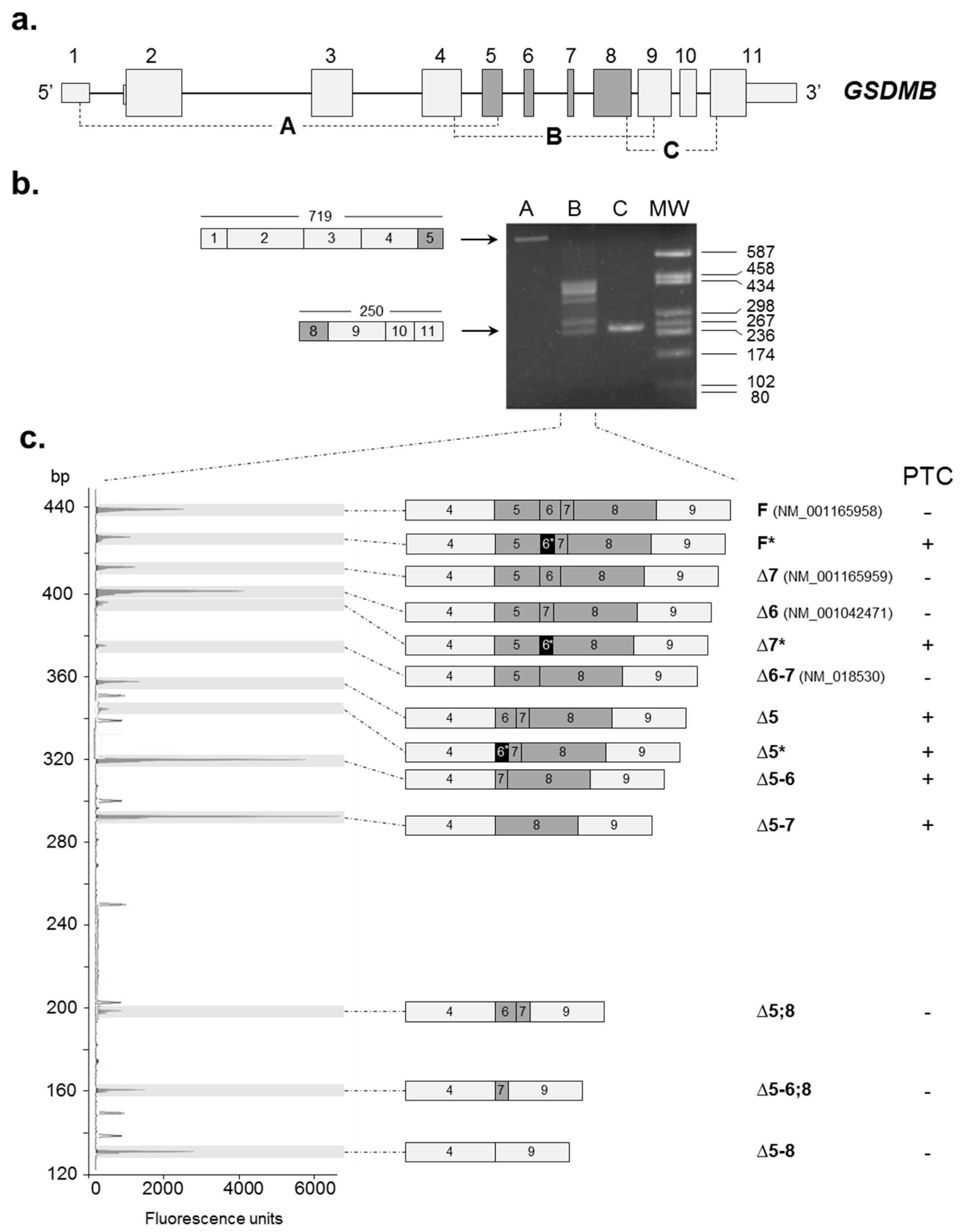 Ijms 18 00576 g001