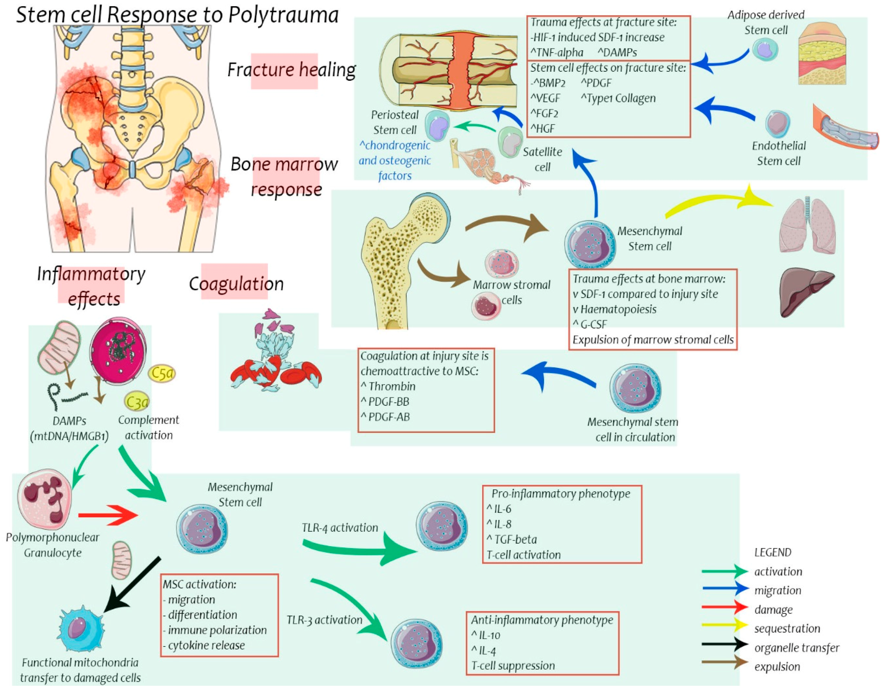 Ijms 18 00577 g002 550
