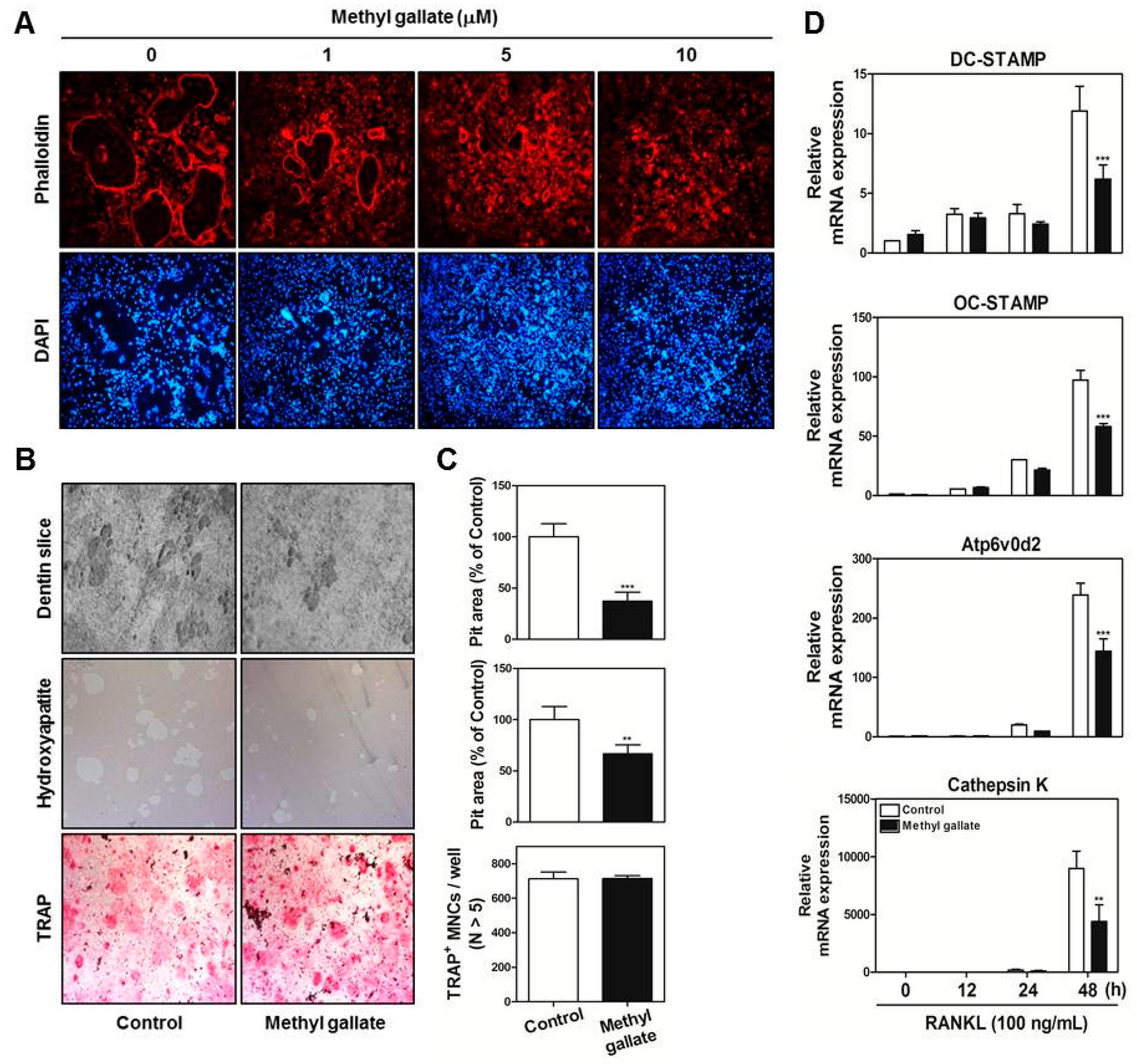 Ijms 18 00581 g003 550