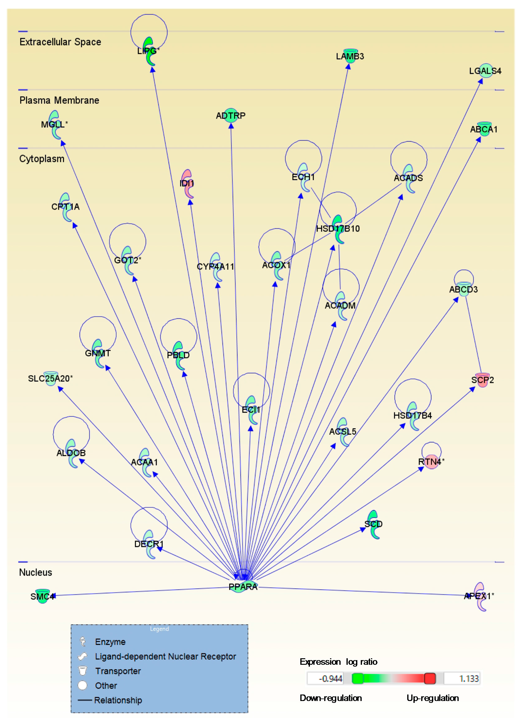 Ijms 18 00593 g004 550